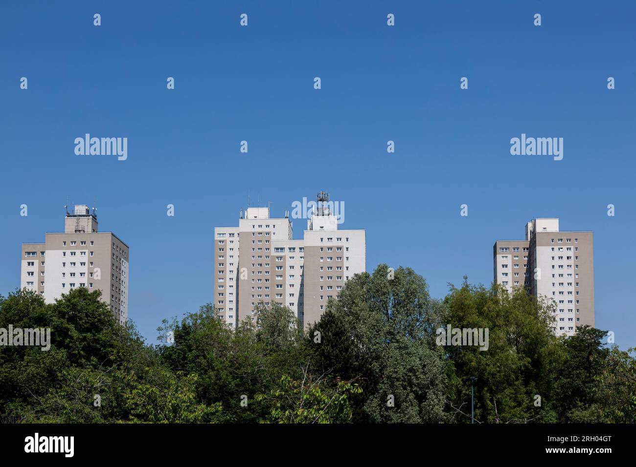 Social housing tower blocks, Shawlands, Glasgow, Scotland, UK , Europe