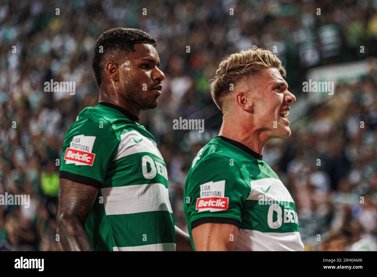 Viktor Gyokeres celebrates after scoring his first goal during Liga  Portugal 23/24 game between Sporting CP and FC Vizela at Estadio Jose  Alvalade Stock Photo - Alamy