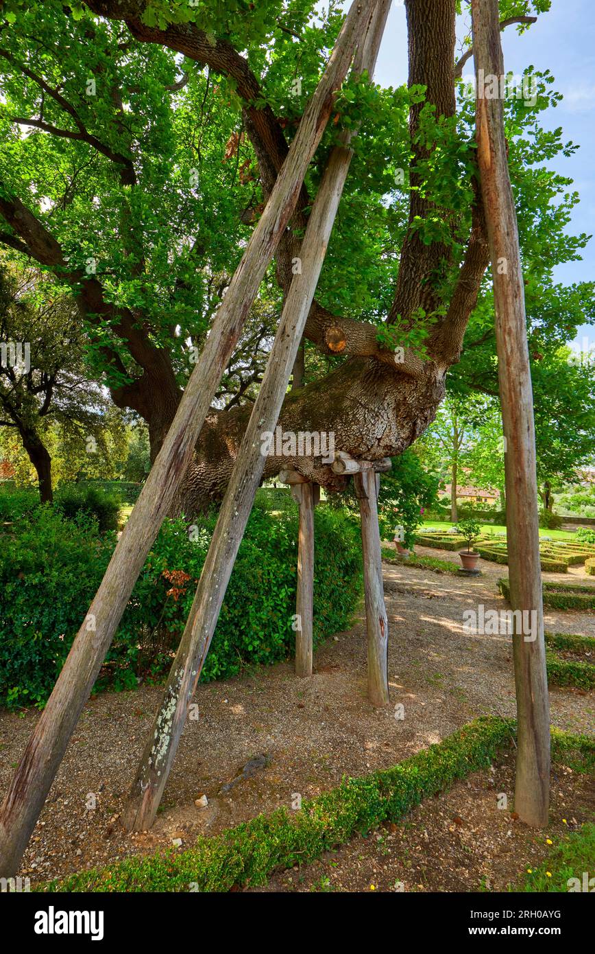 In the park of Medici villa of Petraia, Florence, Italy Stock Photo