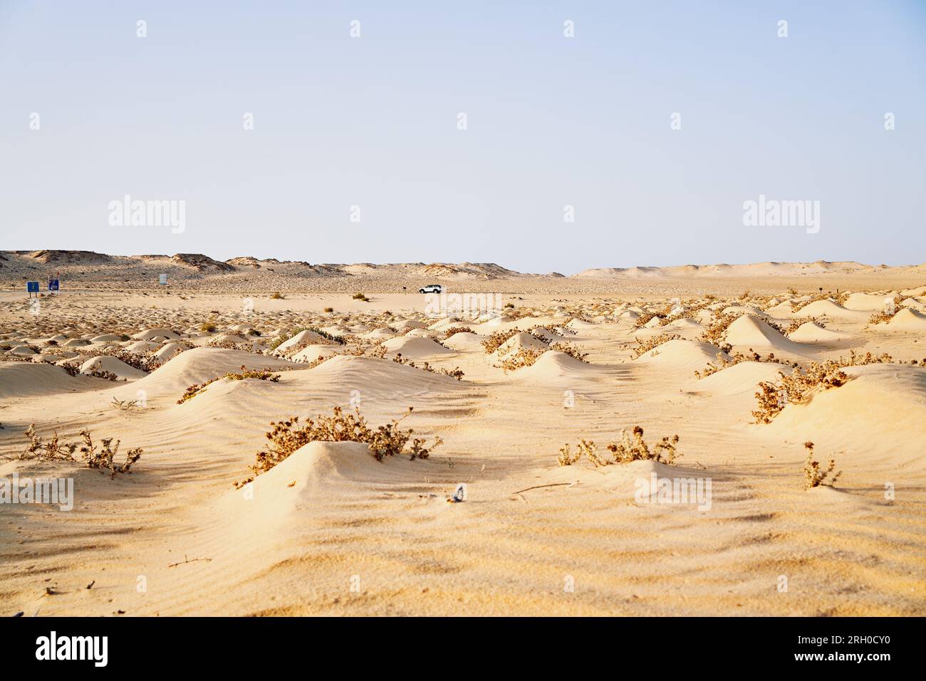 A wide view of the sahara desert and all it's beauty Stock Photo