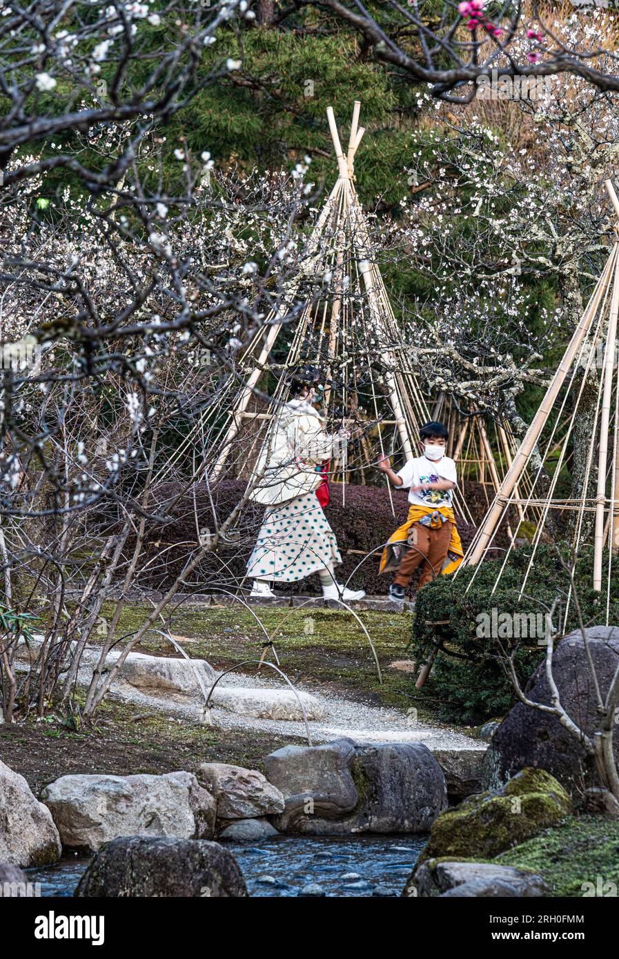 Yukizuri hi-res stock photography and images - Alamy