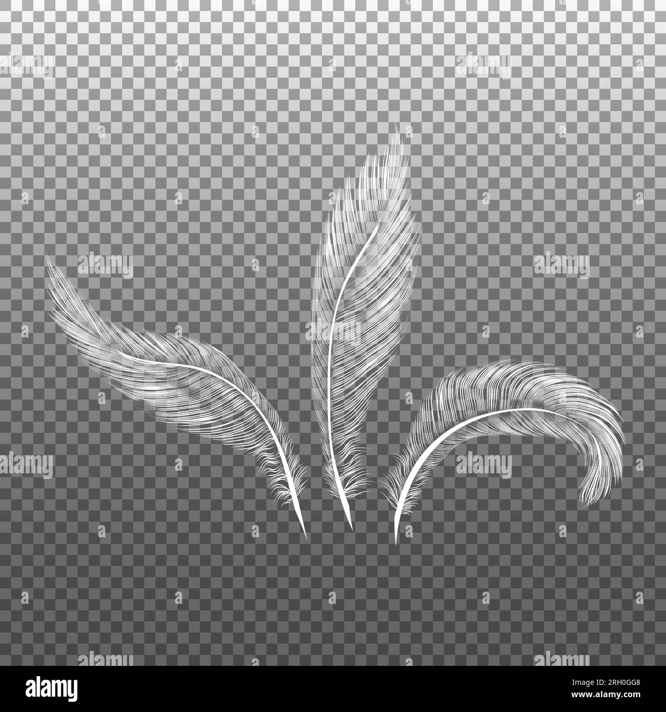 Birds plumage, falling fluffy twirled feather, flying angel wings