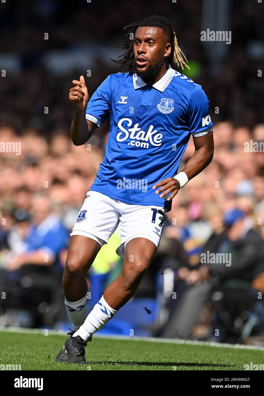 Liverpool, UK. 12th Aug, 2023. Alex Iwobi of Everton during the Premier League match at Goodison Park, Liverpool. Picture credit should read: Gary Oakley/Sportimage Credit: Sportimage Ltd/Alamy Live News Stock Photo