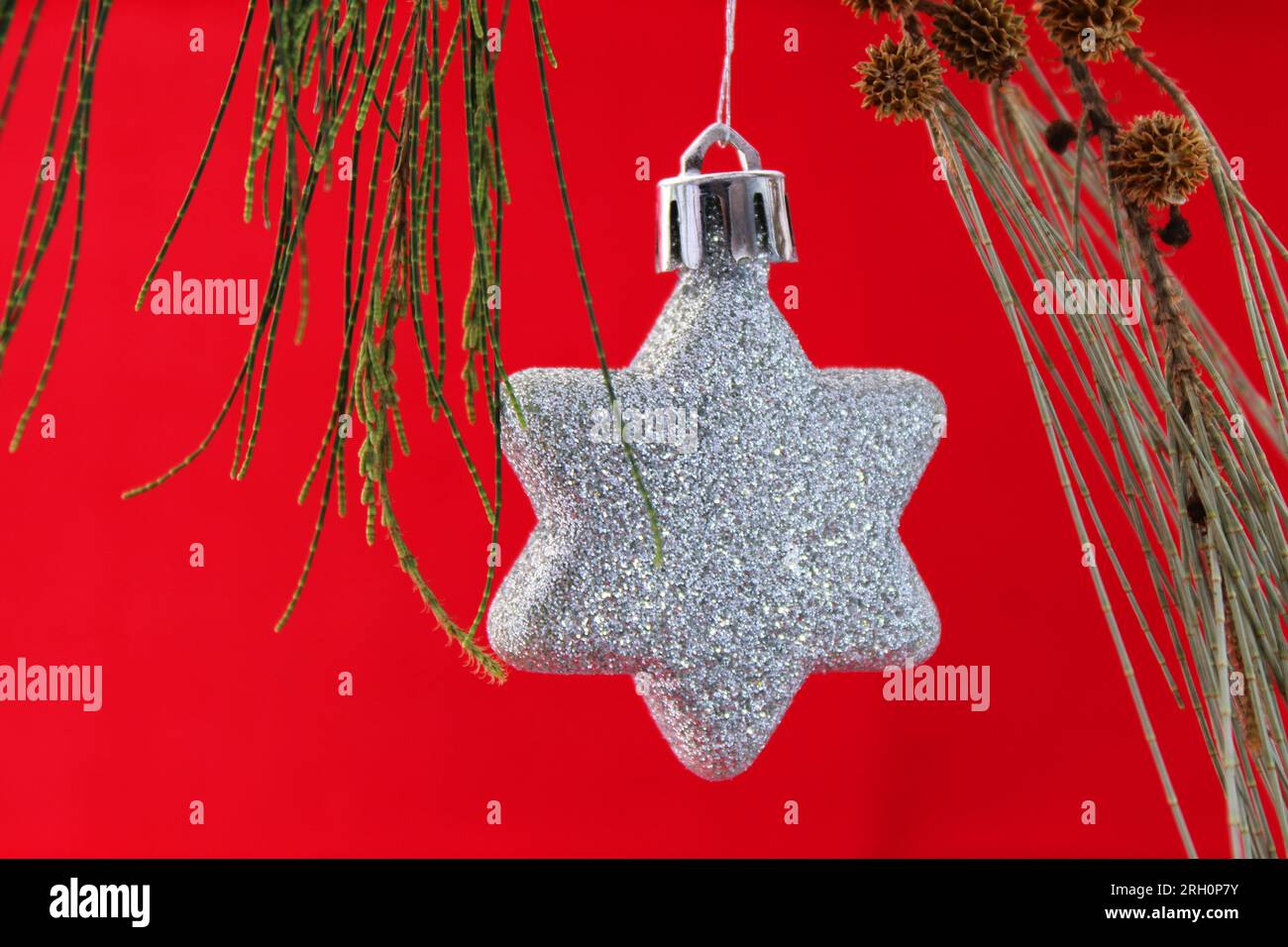 Pine branch with glitter star and red background Stock Photo