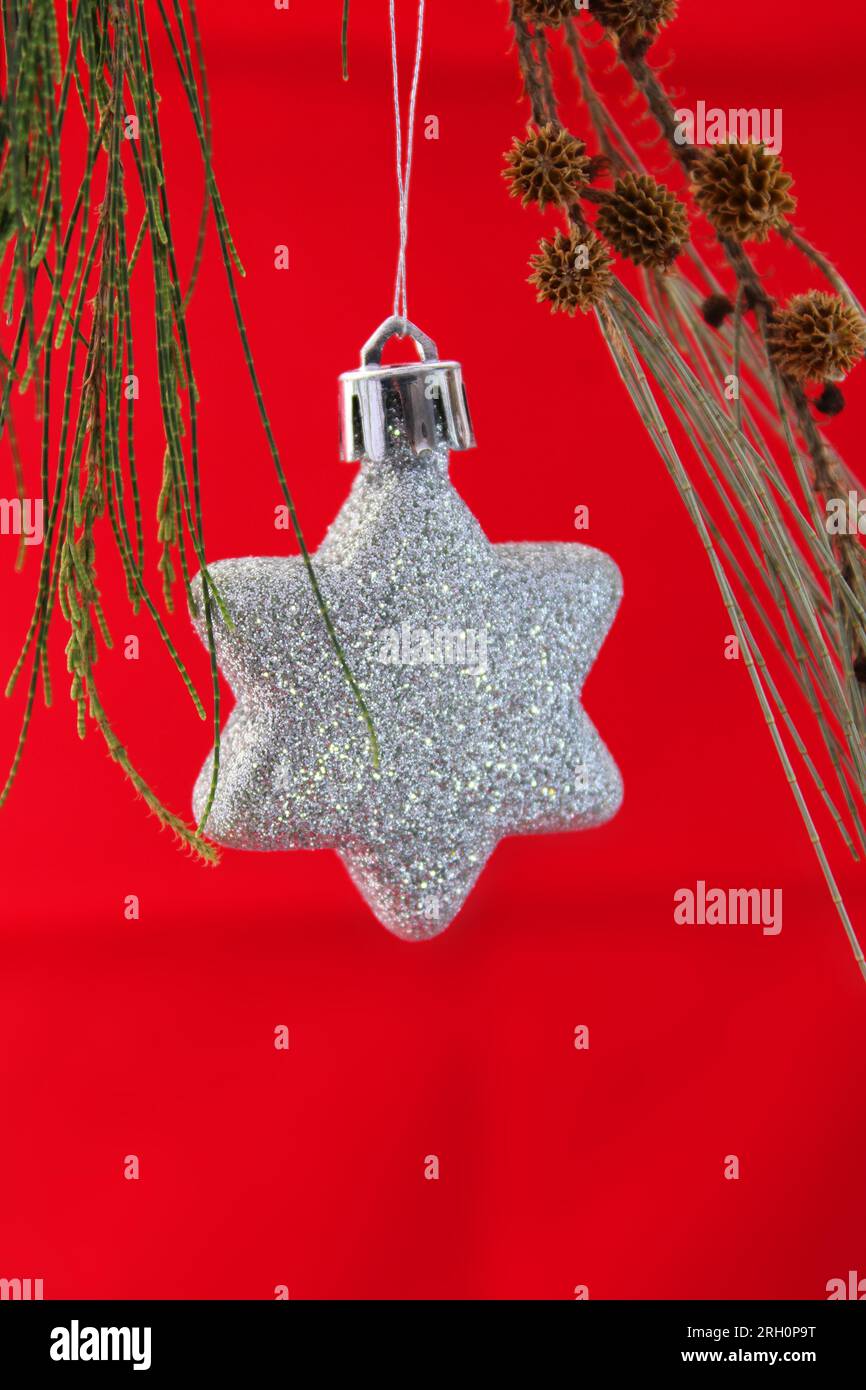 Pine branch with glitter star and red background Stock Photo