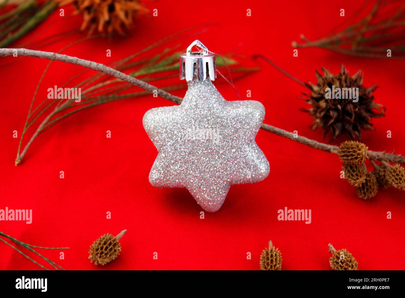 Silver star, christmas decoration with background of dry leaves and pine branches Stock Photo