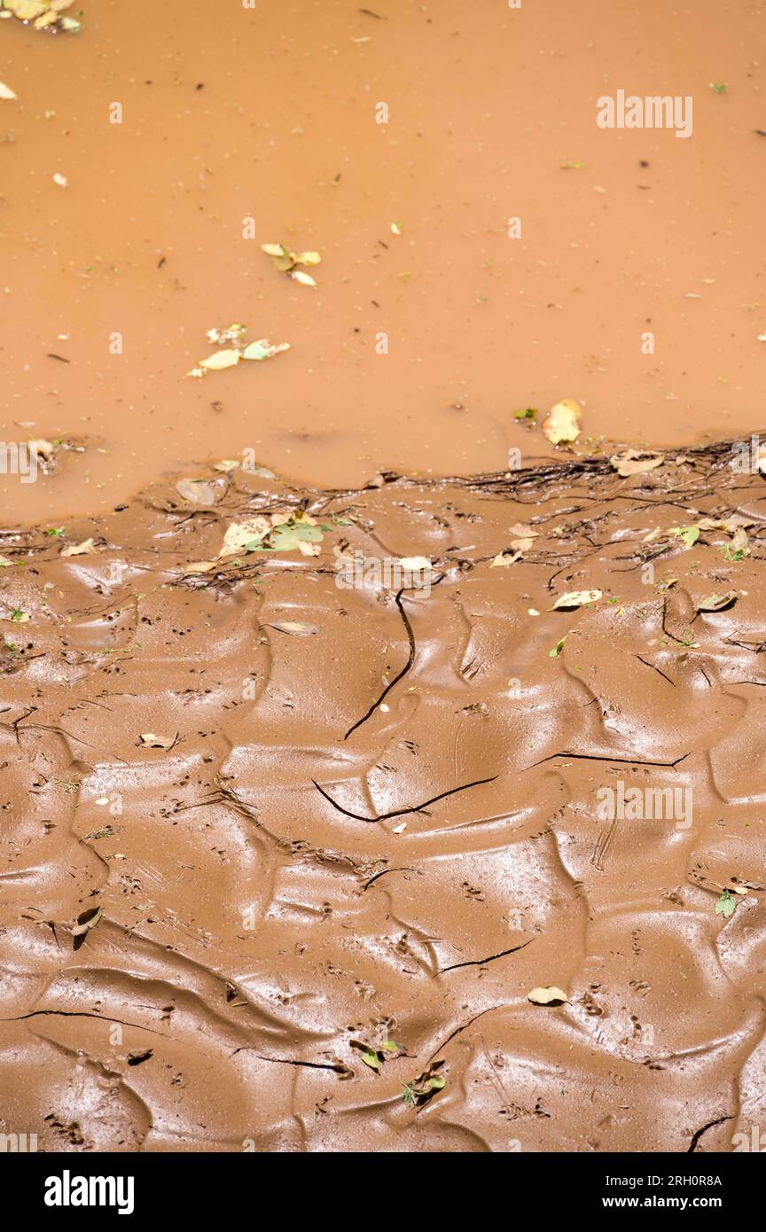 Close up of silt and sand mud containing water captured behind a sand dam, Pokot, Kenya Stock Photo