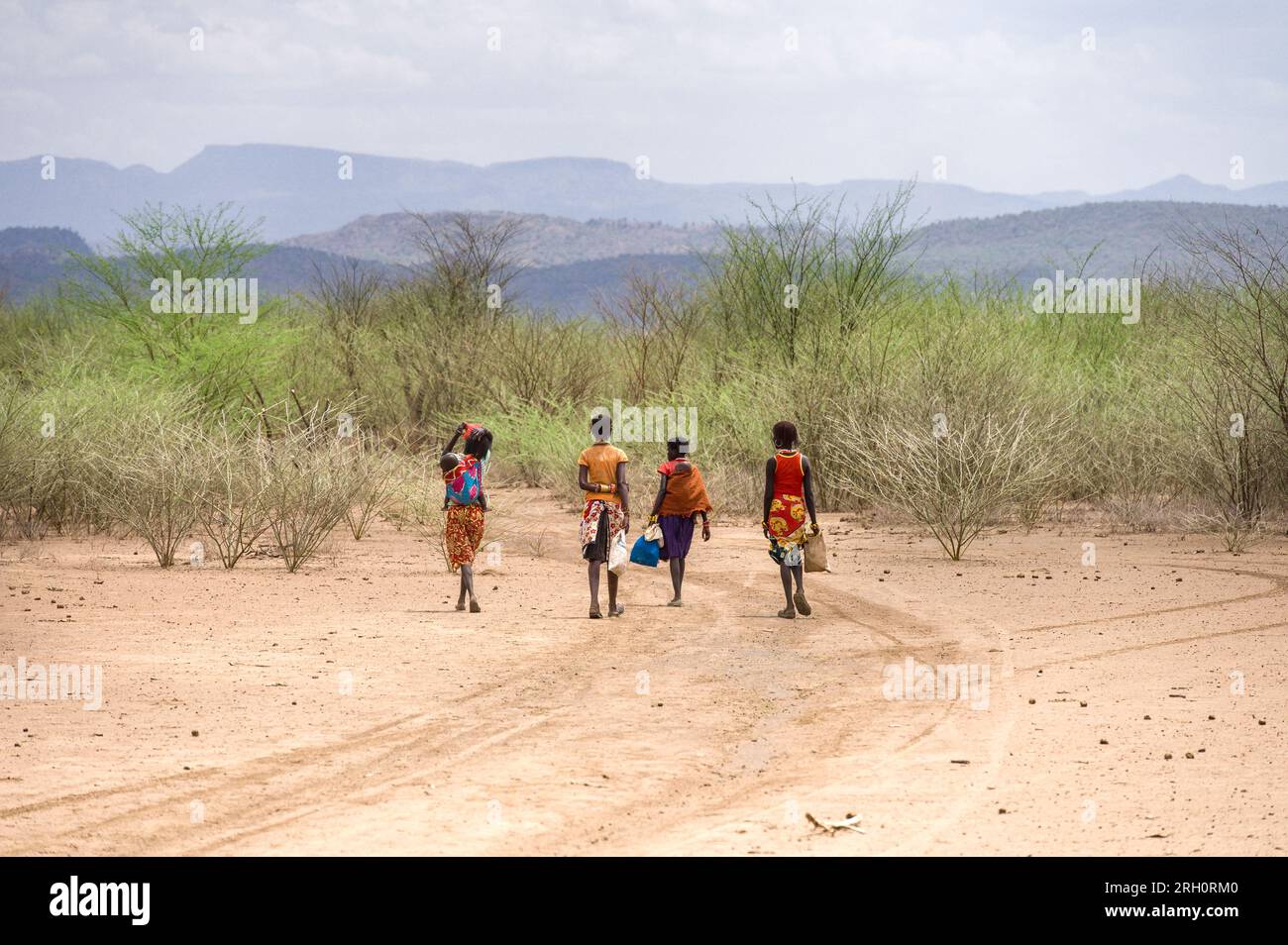 A group of young Pokot women walk down a dusty track towards large bushes with hills in background, Pokot, Kenya Stock Photo