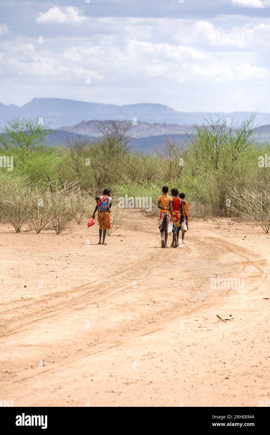 A group of young Pokot women walk down a dusty track towards large bushes with hills in background, Pokot, Kenya Stock Photo