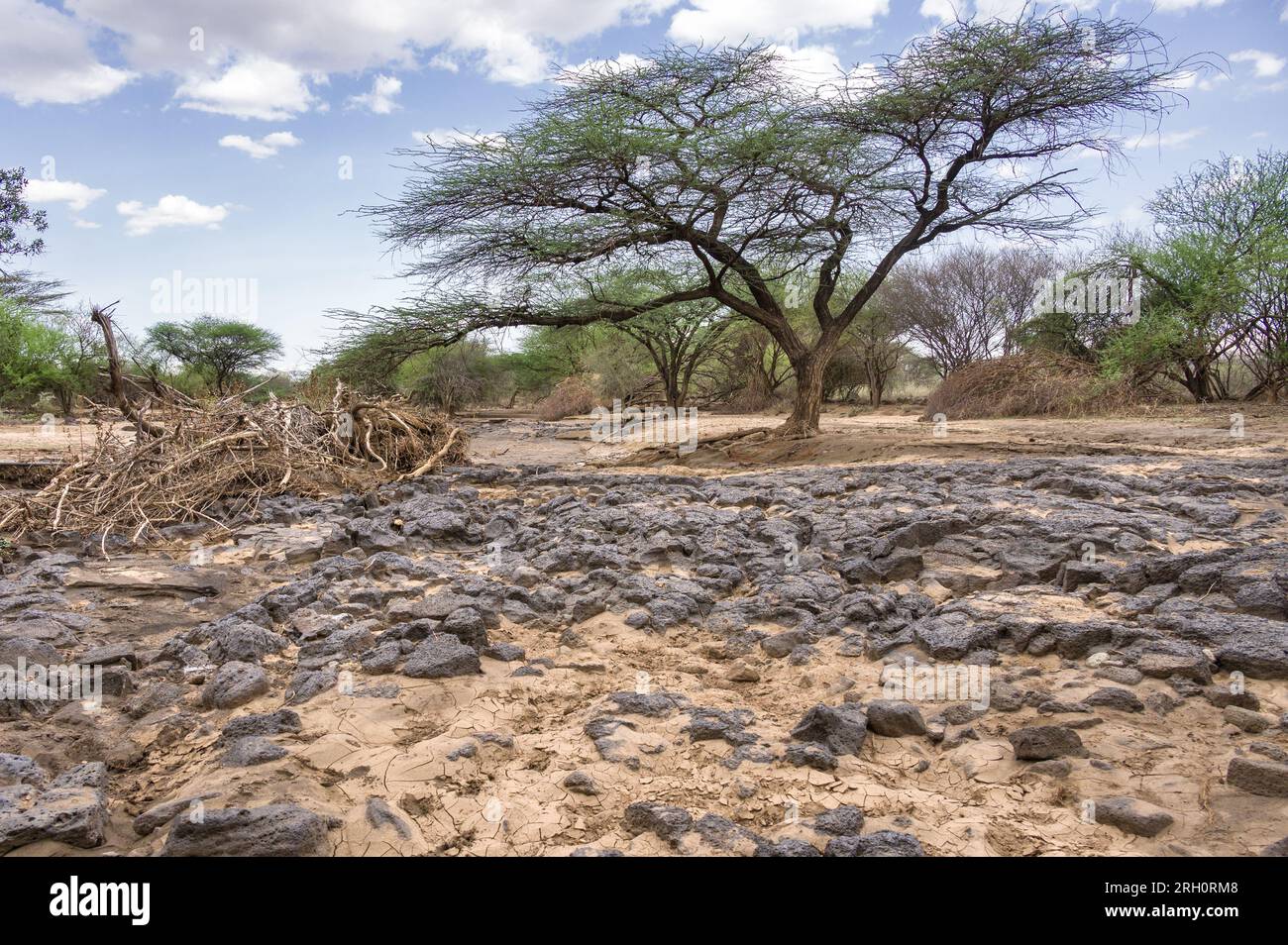A dried up rocky seasonal river bed lined with trees on the river bank, Pokot, Kenya Stock Photo