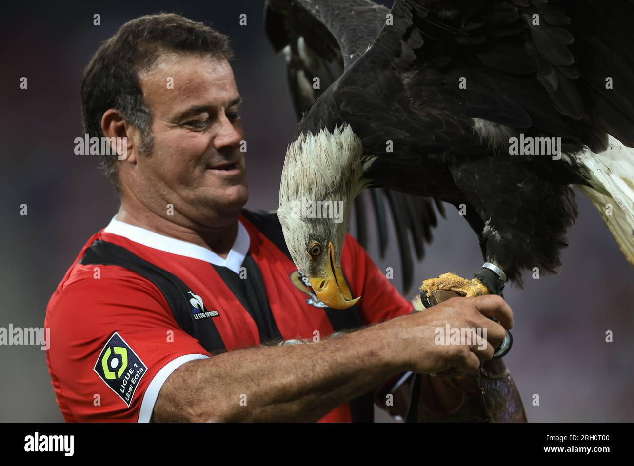 Nice, France, 11th August 2023. Falconer Jean-Philippe Roman and Mefi the Eagle the OGC Nice official mascot prior to kick off in the Ligue 1 match at Allianz Riviera Stadium, Nice. Picture credit should read: Jonathan Moscrop / Sportimage Stock Photo