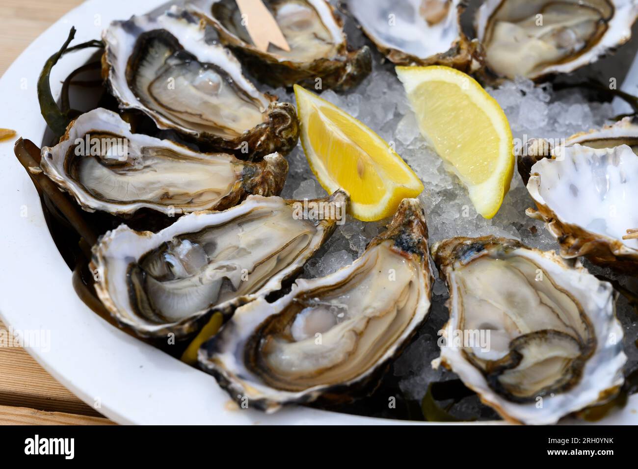 Fresh french Gillardeau oysters molluscs shucked on ice with lemon