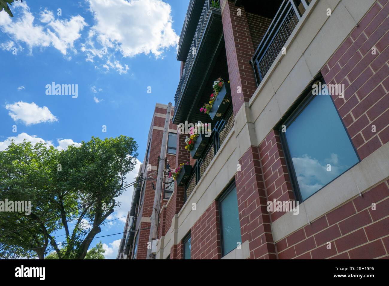 Flower boxes on balcony railing. Chicago, Illinois Stock Photo Alamy