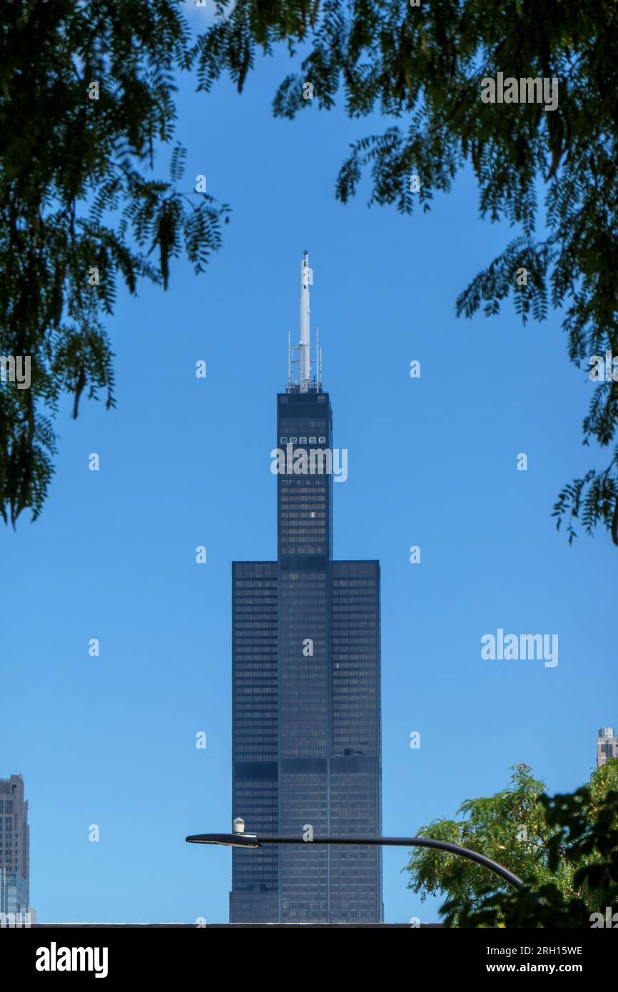 Willis Tower framed by honey locust foliage. Chicago, Illinois. Stock Photo