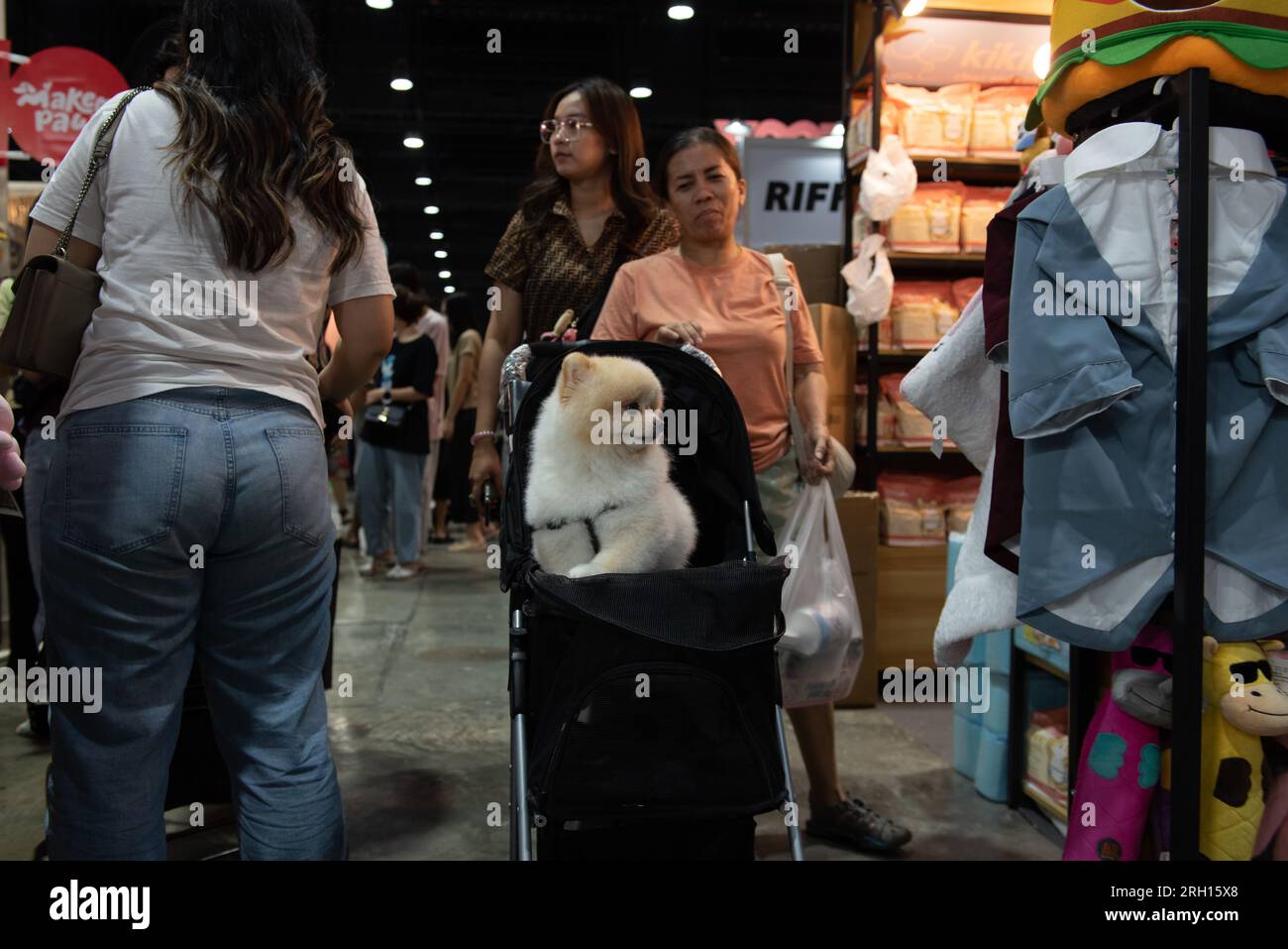 Bangkok, Thailand. 12th Aug, 2023. People bring Dog their own pets to