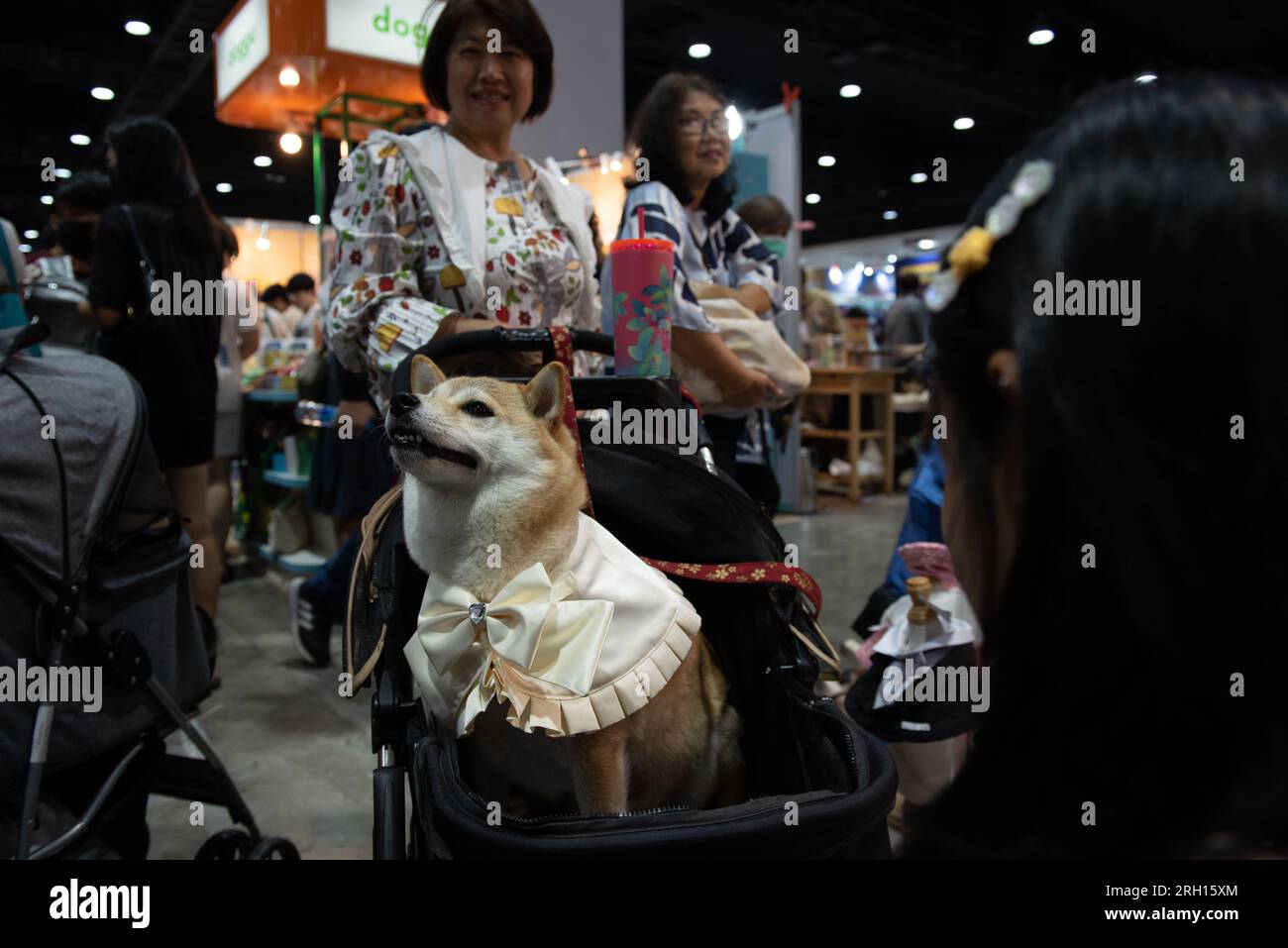 Bangkok, Thailand. 12th Aug, 2023. People bring Dog their own pets to