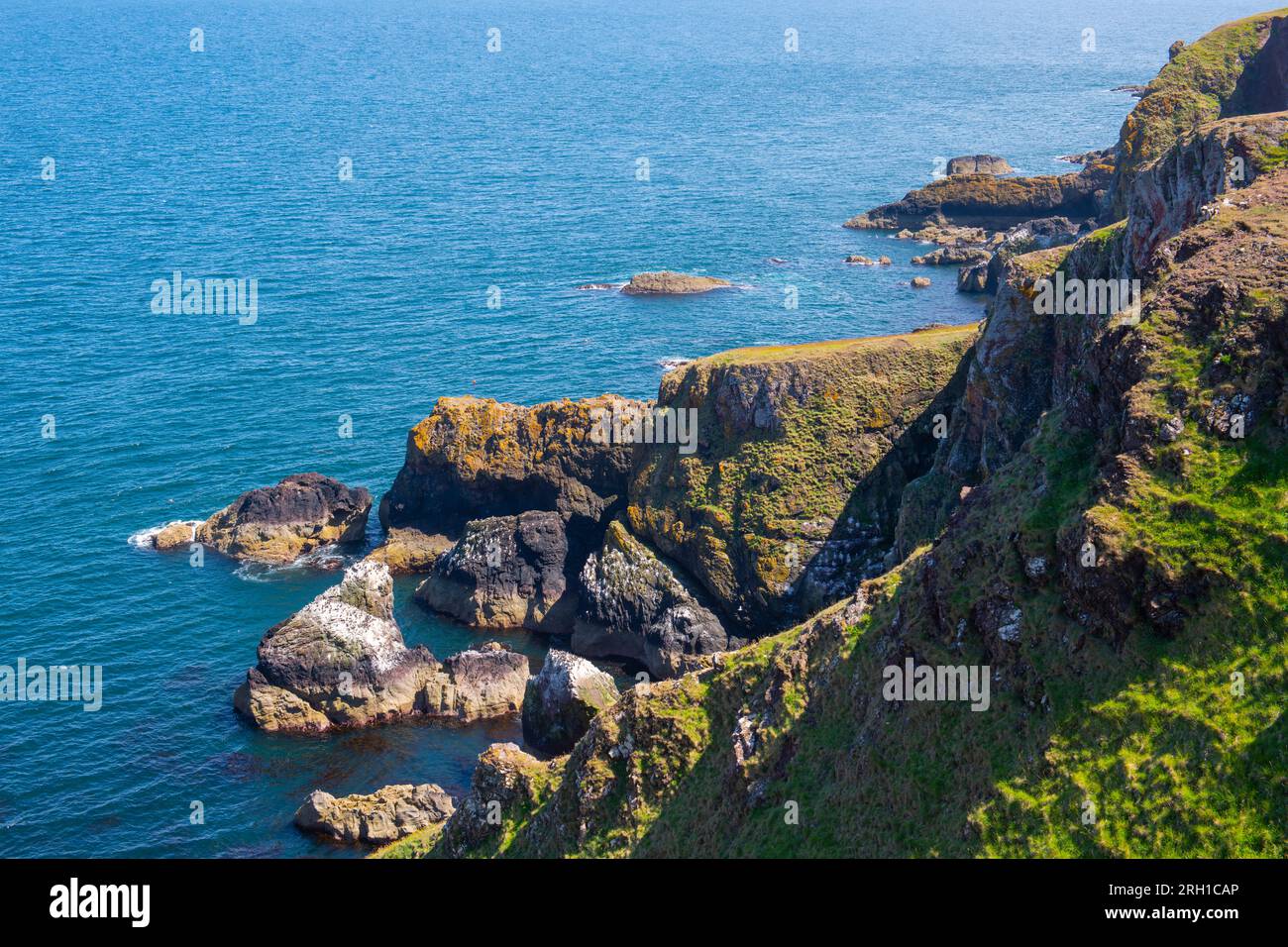 St. Abbs Head coastal cliffs aerial view in summer near village of St ...