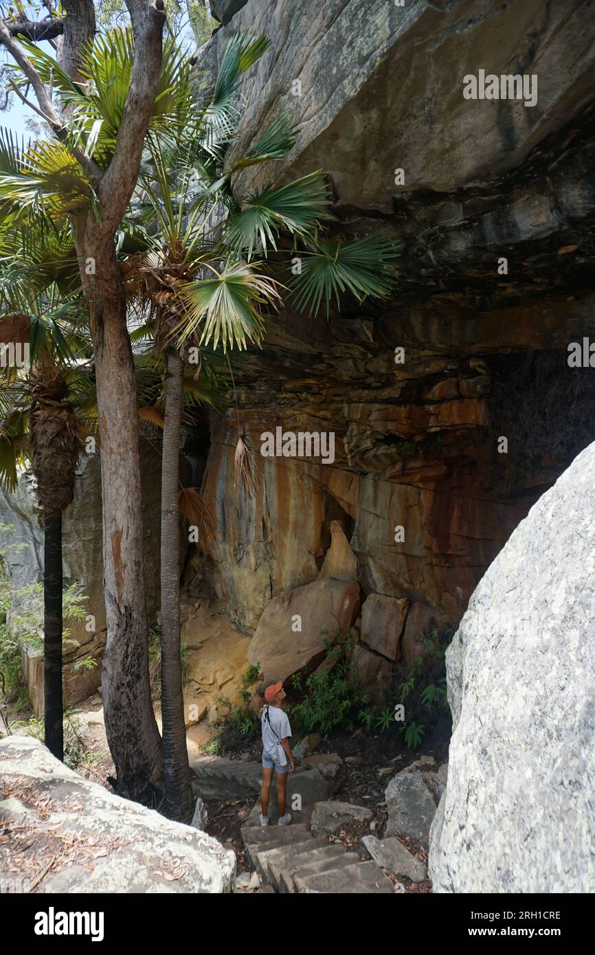 woman looking up at rock wall while walking down stairs on hiking trail. Blackdown Tableland National Park, Queensland, Australia Stock Photo