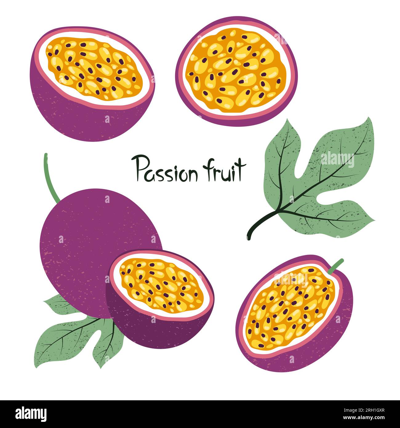 Set of passion fruit isolated on white. Vector illustration Stock ...