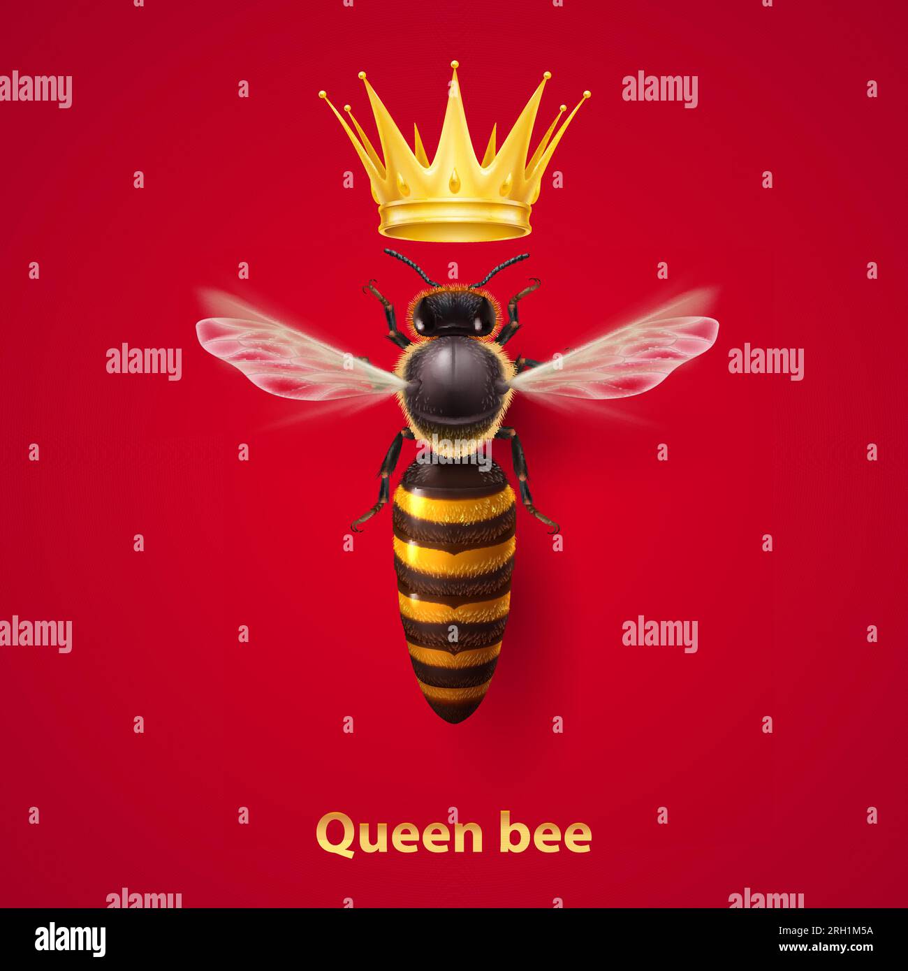 Queen Bee Images – Browse 34,624 Stock Photos, Vectors, and Video