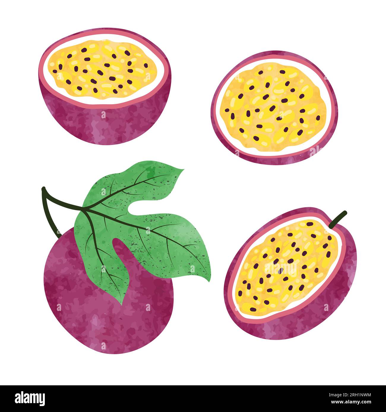 Set of watercolor passion fruit isolated on white. Vector illustration ...