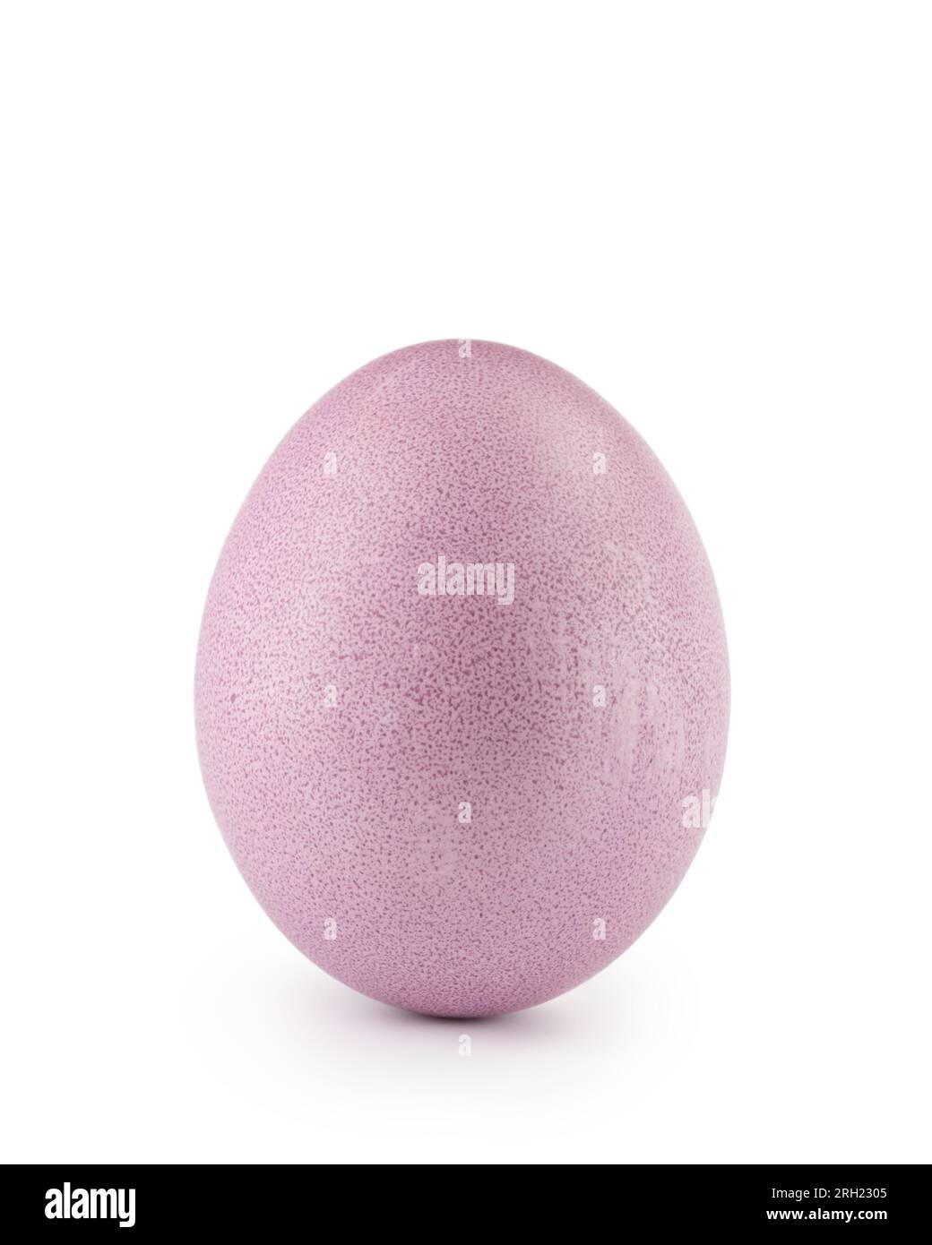 purple easter egg isolated on white background, with shadow Stock Photo ...