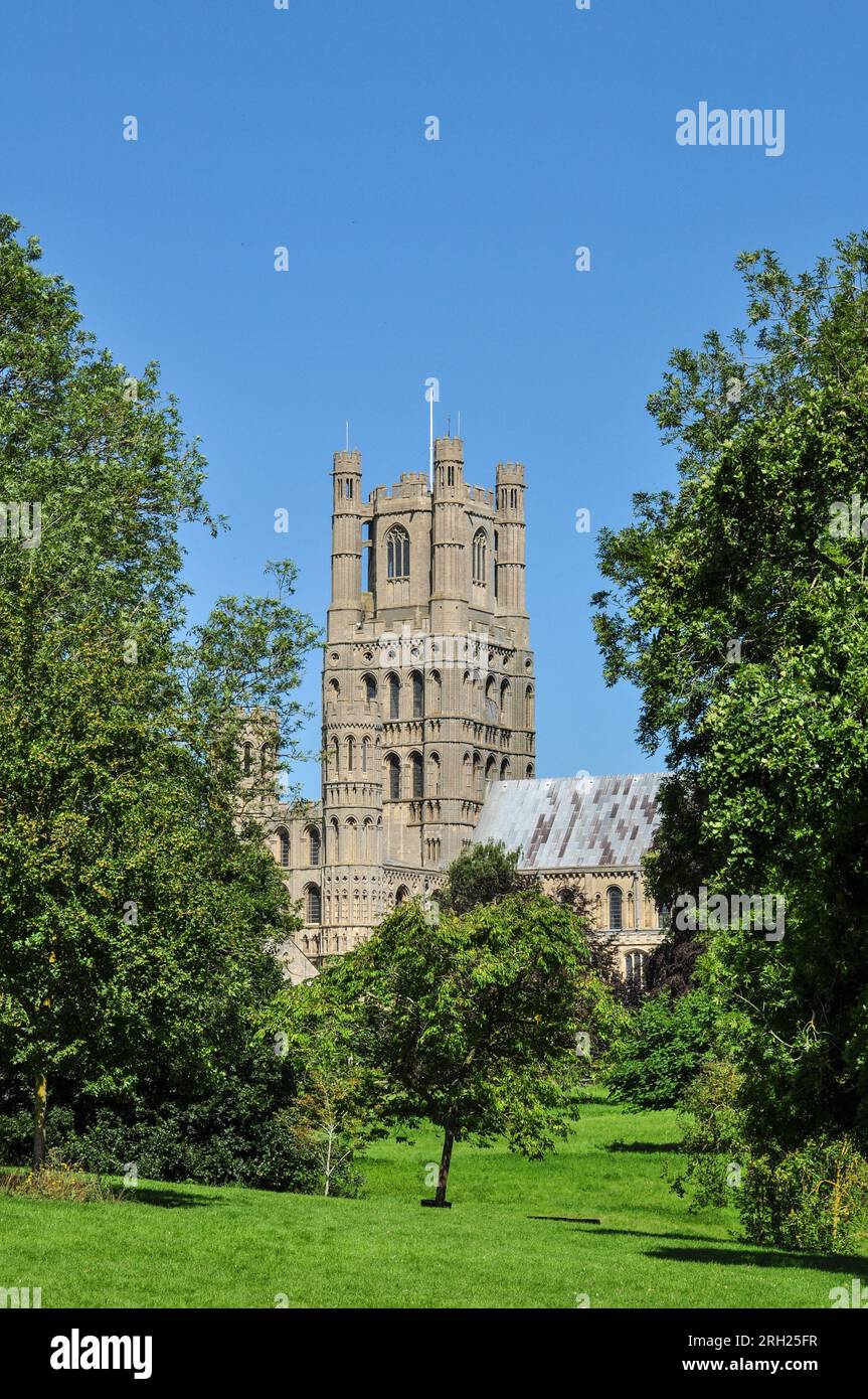 Rural view of the Cathedral West Tower through trees from the park in Ely, Cambridgeshire, England, UK Stock Photo