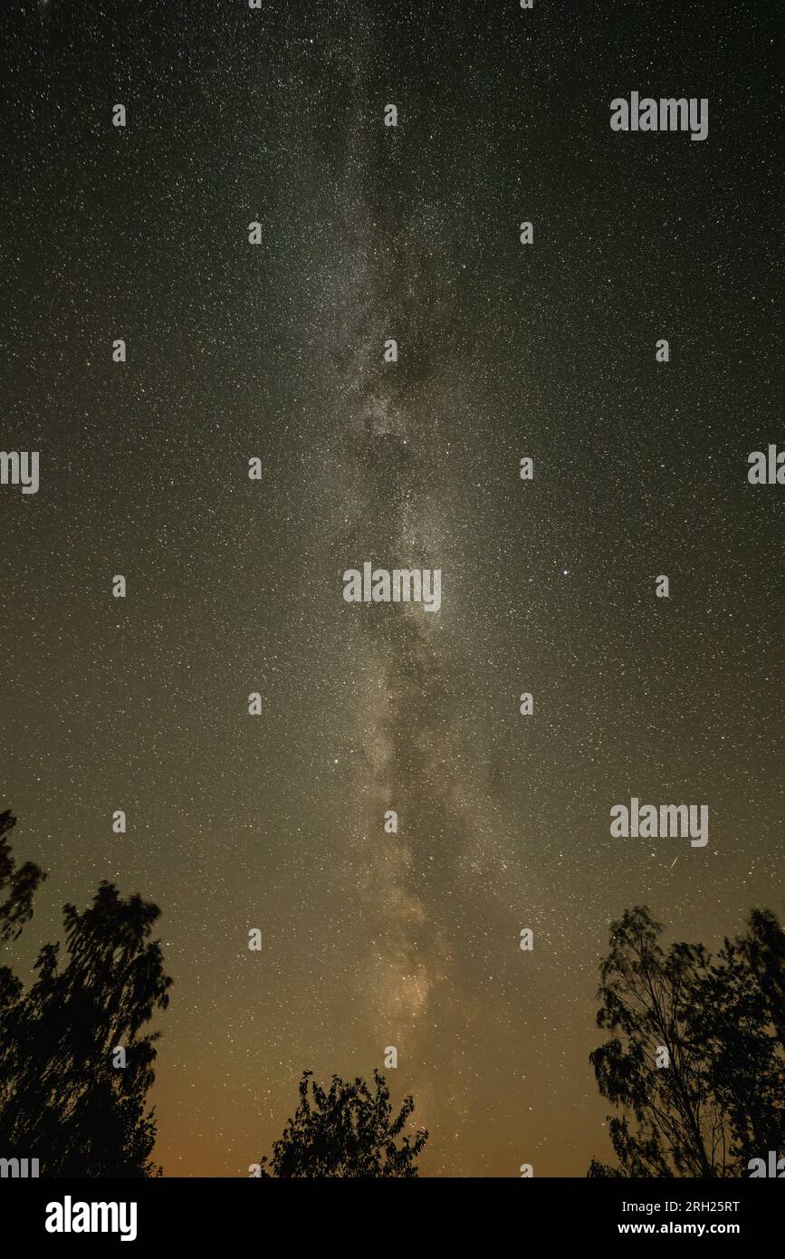 Beautiful milky way galaxy on a night sky and silhouette of tree with ...