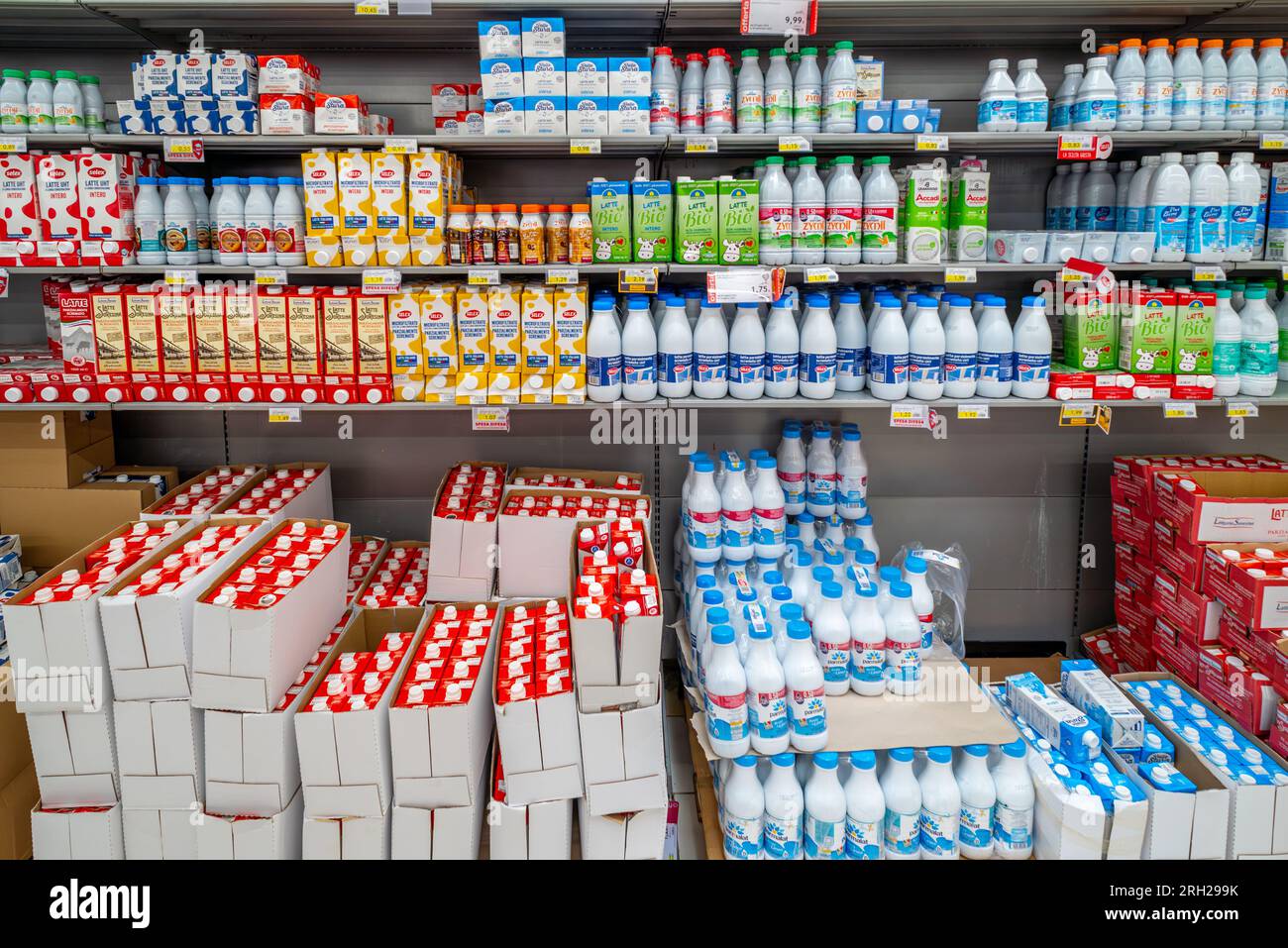 Italy - August 08, 2023: milk packed in plastic bottles and boxes food cartons of various types and brands arranged on shelves for sale in Italian dis Stock Photo