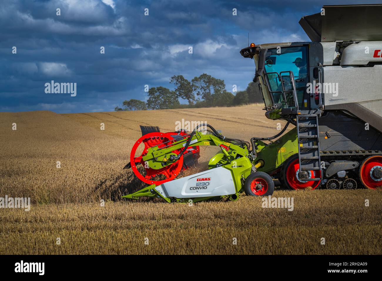 A combine harvester working in a field of wheat to harvest the corn under a stormy blue sky on a summer’s day in the UK Stock Photo