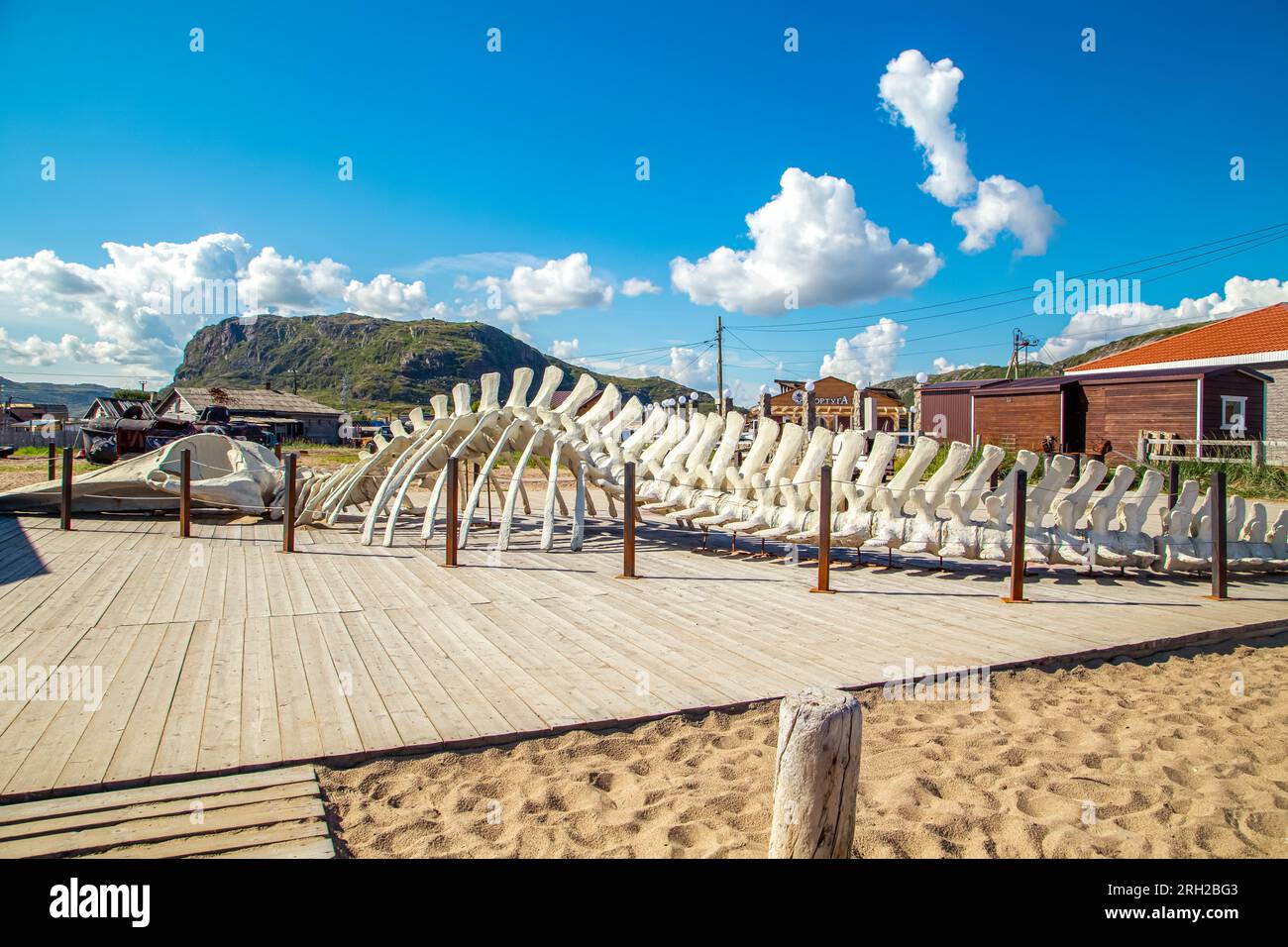 Whale skeleton in the small fishing town of Teriberka. Coast of the Barents Sea. Teriberka, Murmansk region, Russia - July 19, 2023. Stock Photo