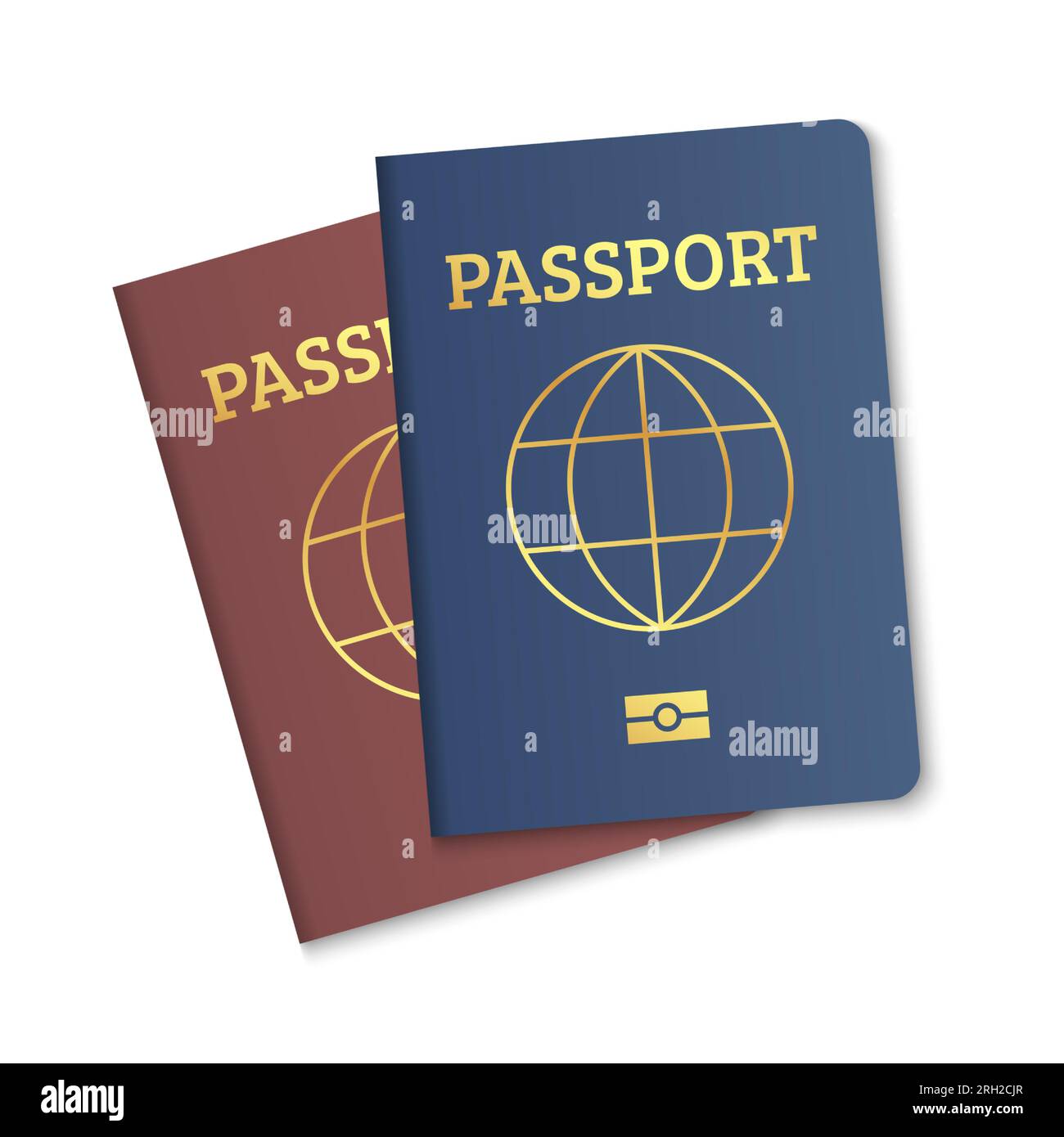 International passport cover red and blue template. Vector biometric