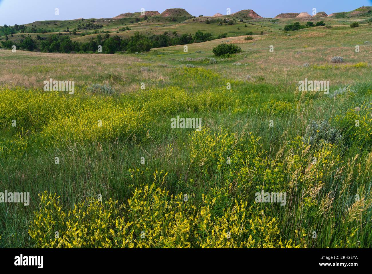 Rolling prairie and badlands of Theodore Roosevelt National Park