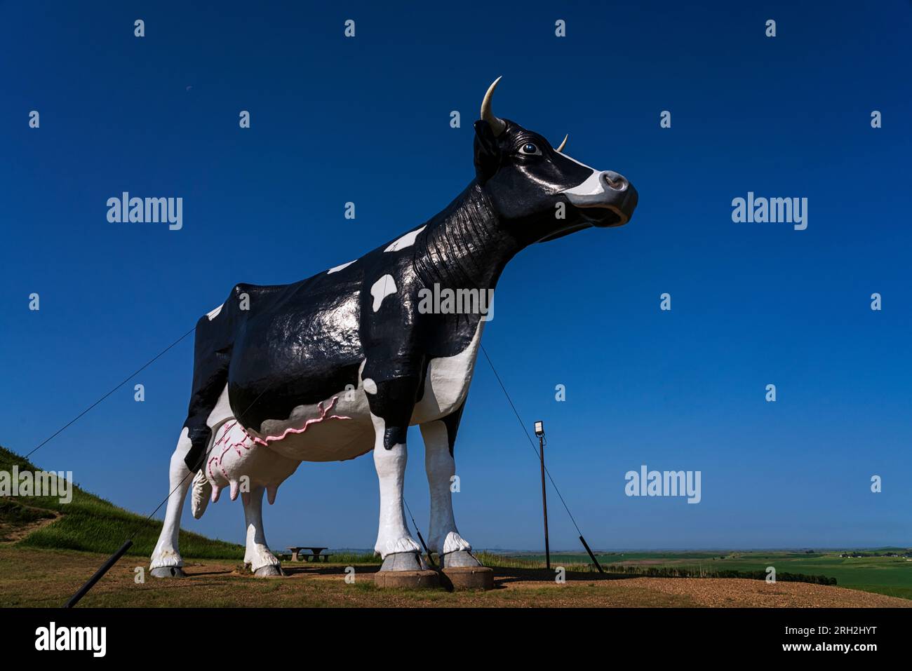 The towering sculpture known as Salem Sue in New Salem, North Dakota