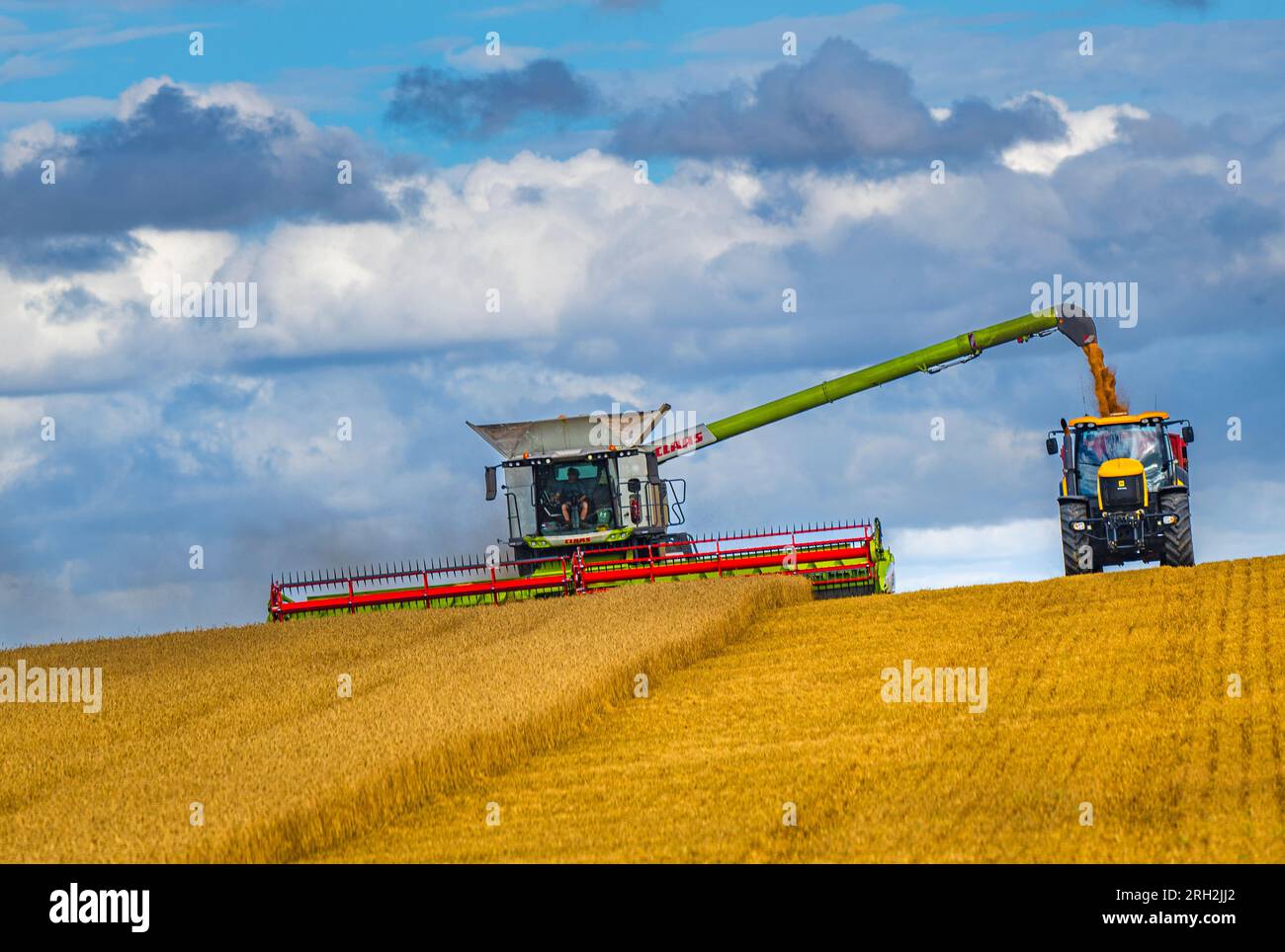 A combine harvester working in a field of wheat to harvest the corn under a stormy blue sky on a summer’s day in the UK Stock Photo