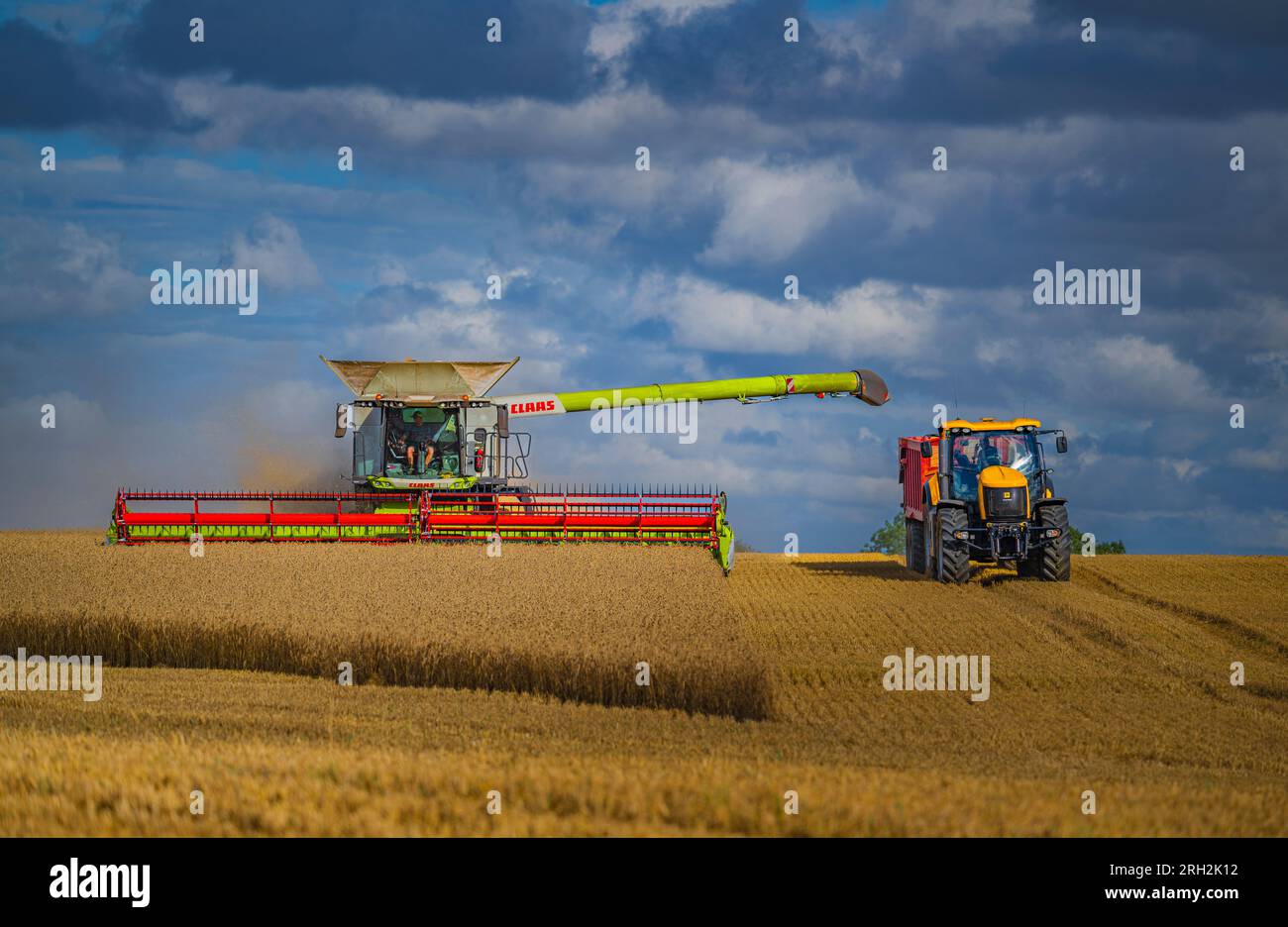 A combine harvester working in a field of wheat to harvest the corn under a stormy blue sky on a summer’s day in the UK Stock Photo