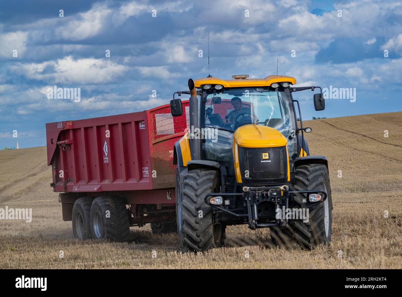 A tractor and trailer carting wheat corn from a field, which has just been harvested or combined, to the grain store for storage Stock Photo
