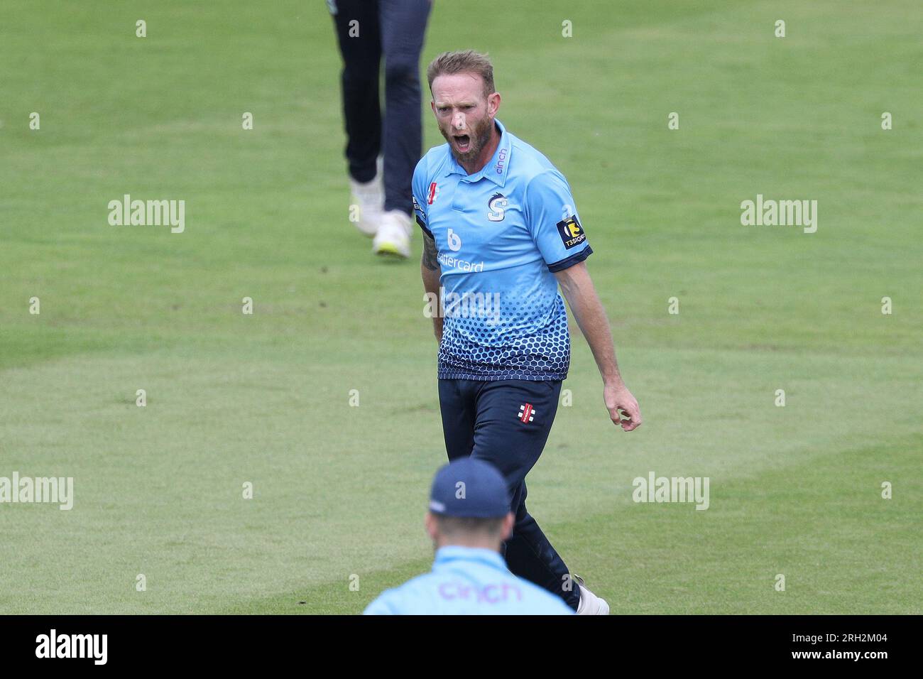 Luke procter hi-res stock photography and images - Alamy