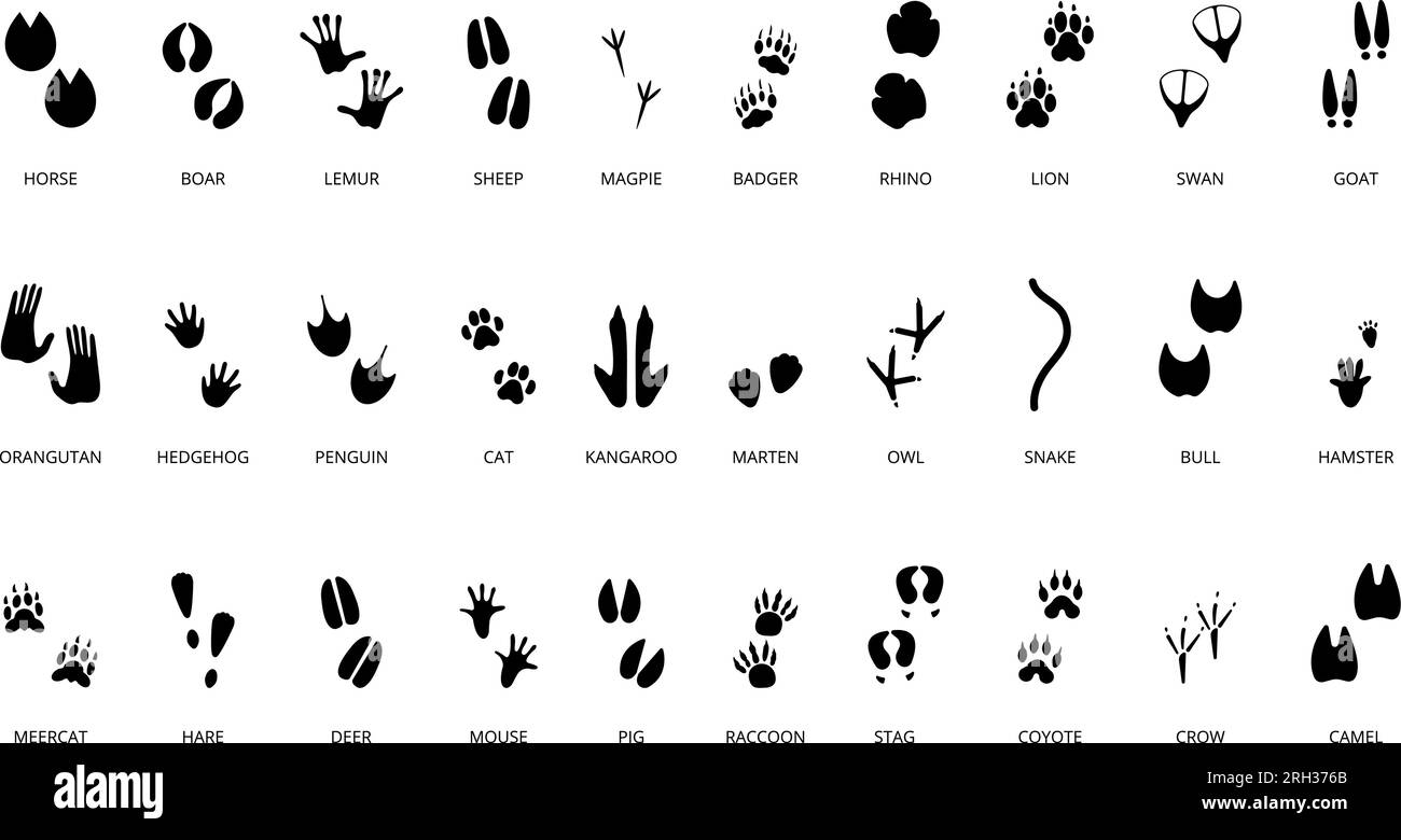 Animals steps black silhouettes. Wild animal, birds and reptile footprints. Paw goat, cat, sheep prints. Footsteps decent vector collection Stock Vector