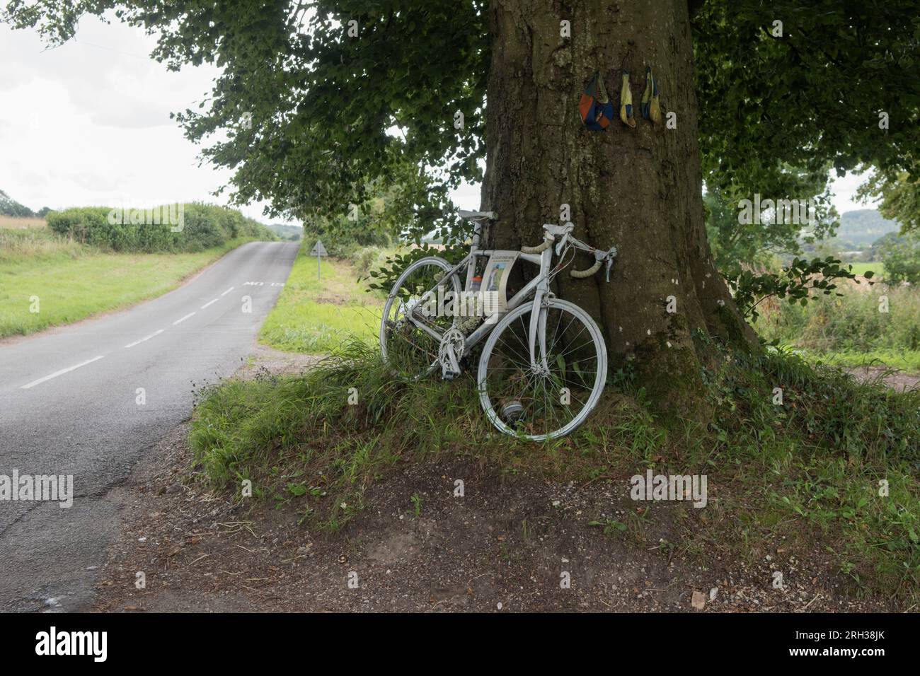 White Memorial Bicycle UK. Ghostcycle also know as a Ghost Bike. Cyclist in  the countryside killed on his pedal cycle bike, cycling home along a  country road. The right of way road