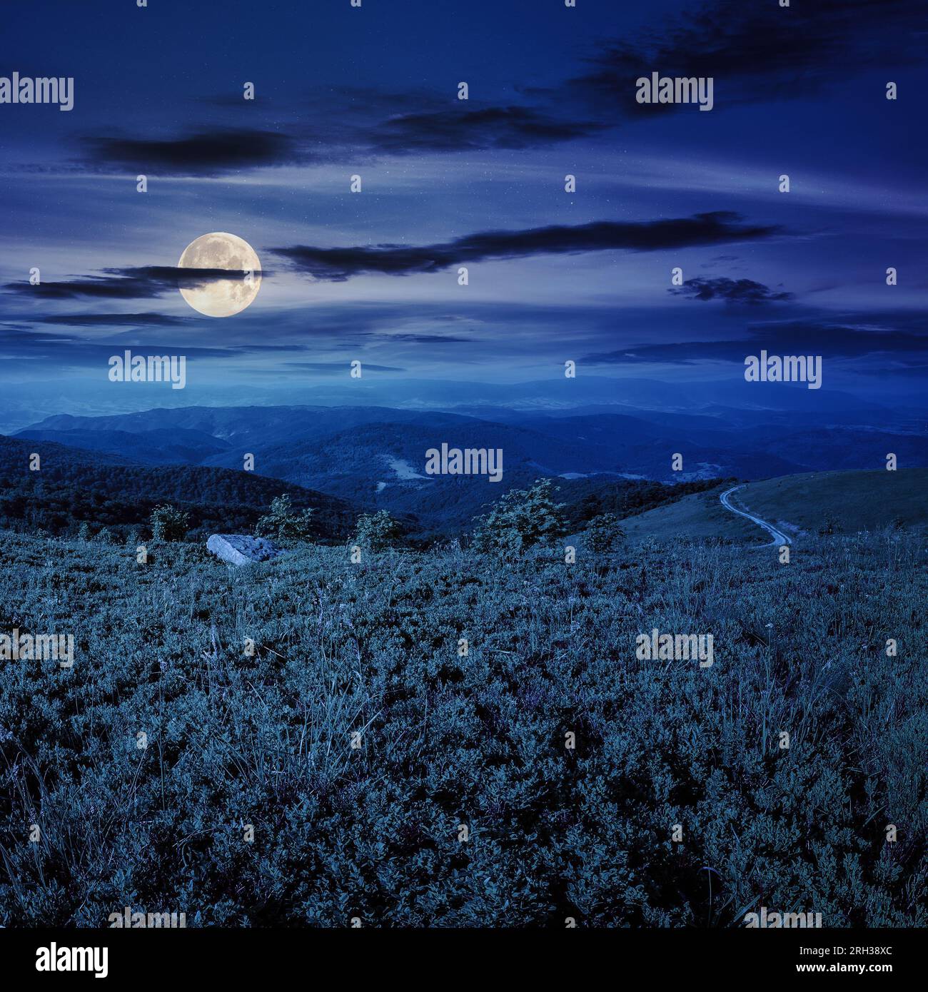 My Image 26