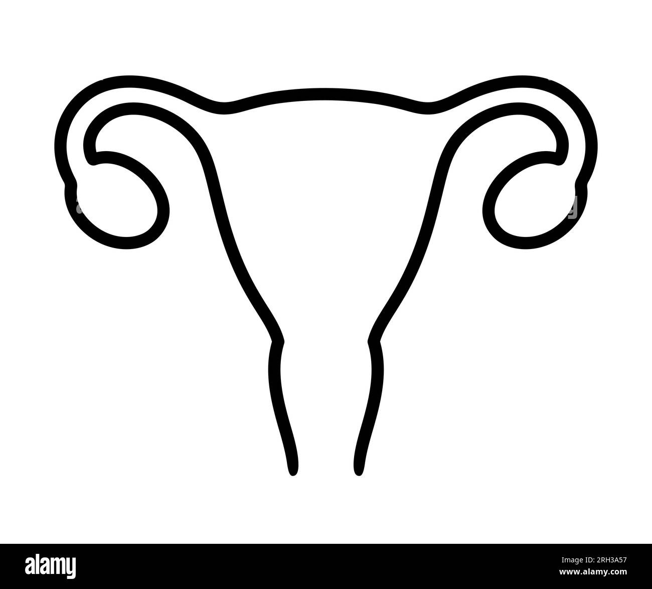 Human uterus line icon. Simple black and white outline drawing of female reproductive system organ silhouette. Vector illustration. Stock Vector