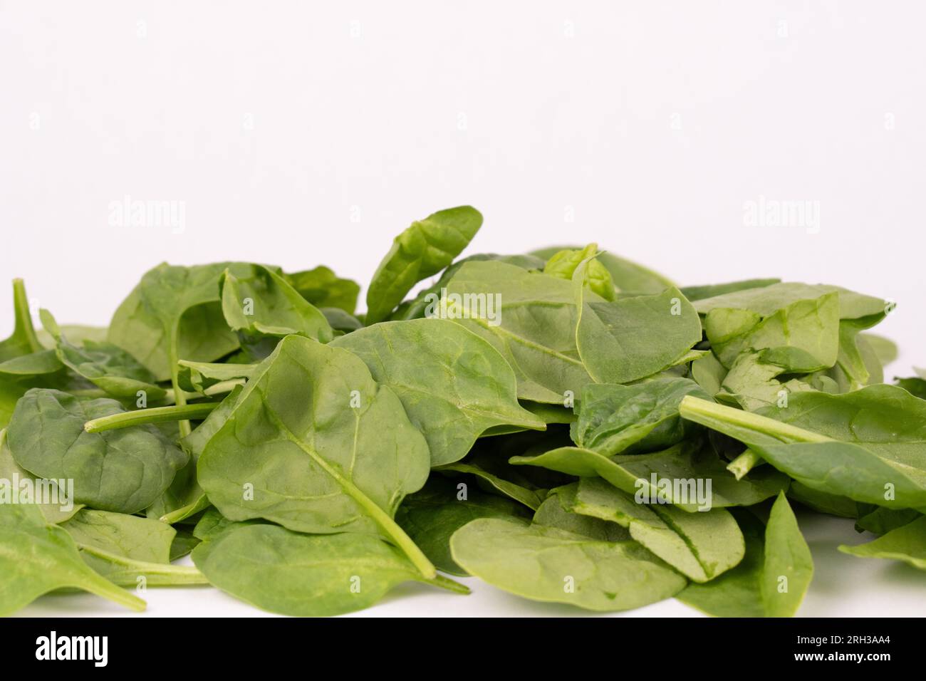Pile of fresh baby spinach leaves Stock Photo Alamy