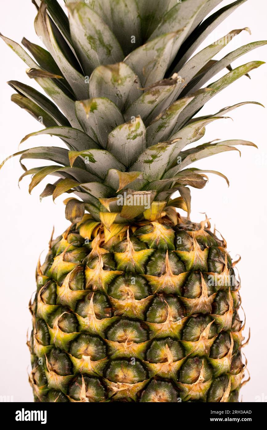 Close up pineapple fronds and peeling Stock Photo