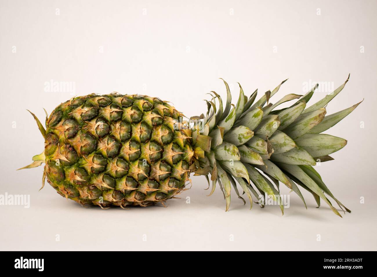 Whole uncut fresh pineapple on side Stock Photo