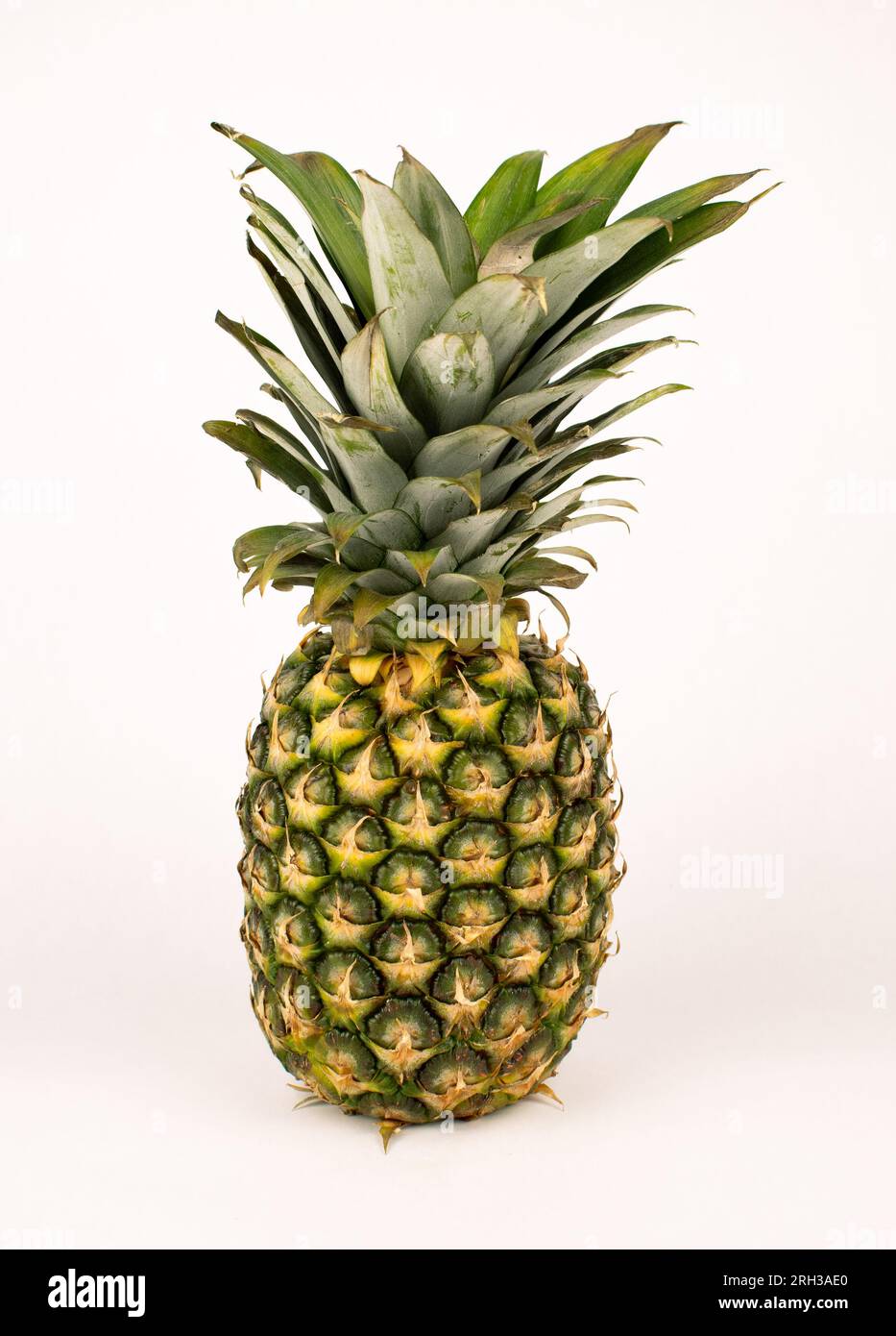 Africa pineapple hi-res stock photography and images - Alamy