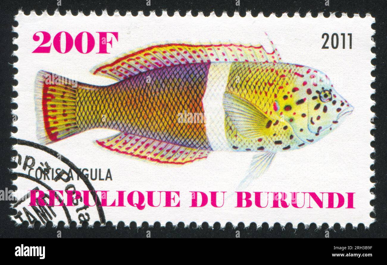 BURUNDI - CIRCA 2011: stamp printed by Burundi, shows Tsirrilabrus, circa 2011 Stock Photo