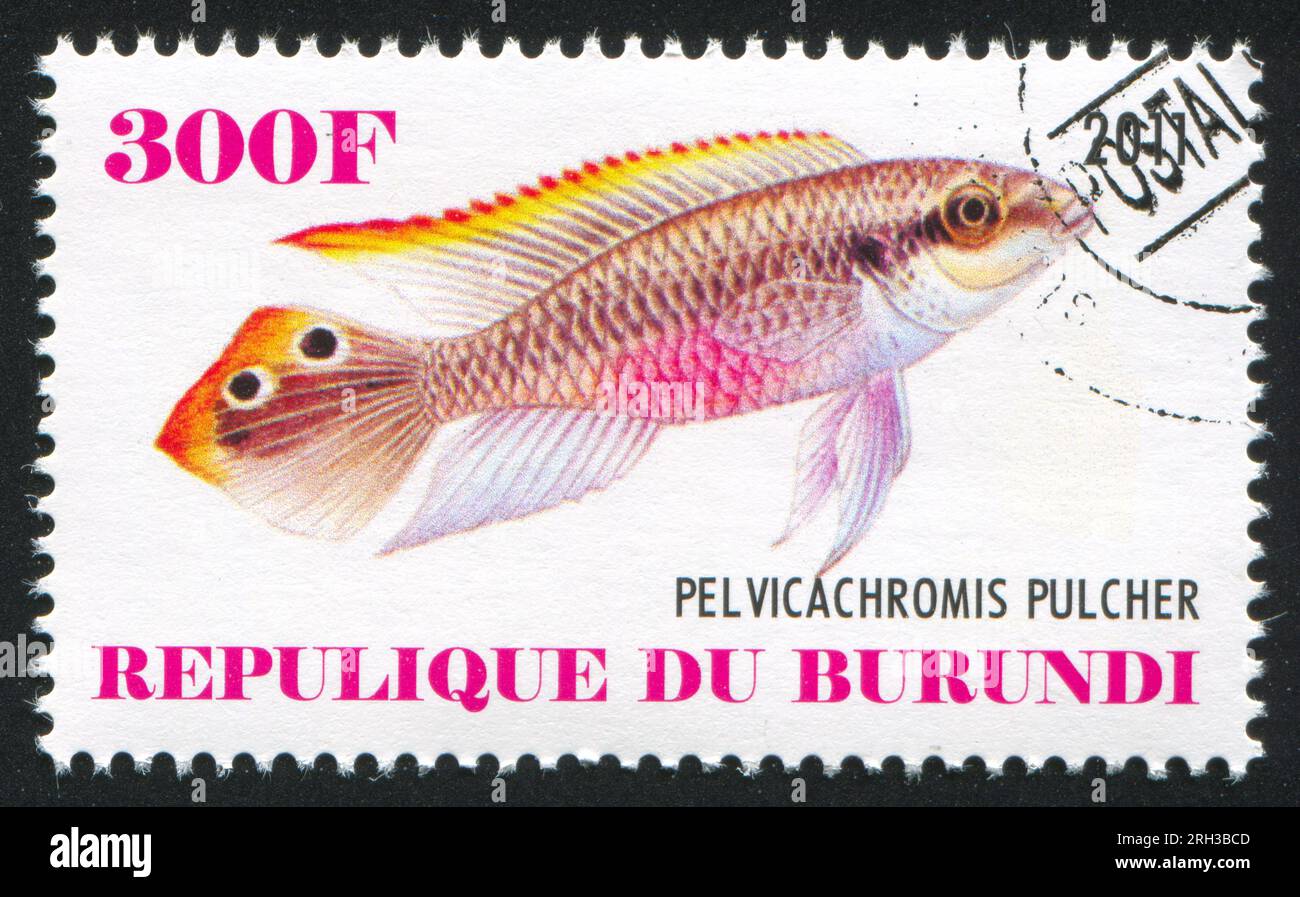 BURUNDI - CIRCA 2011: stamp printed by Burundi, shows Cichlid, circa 2011 Stock Photo