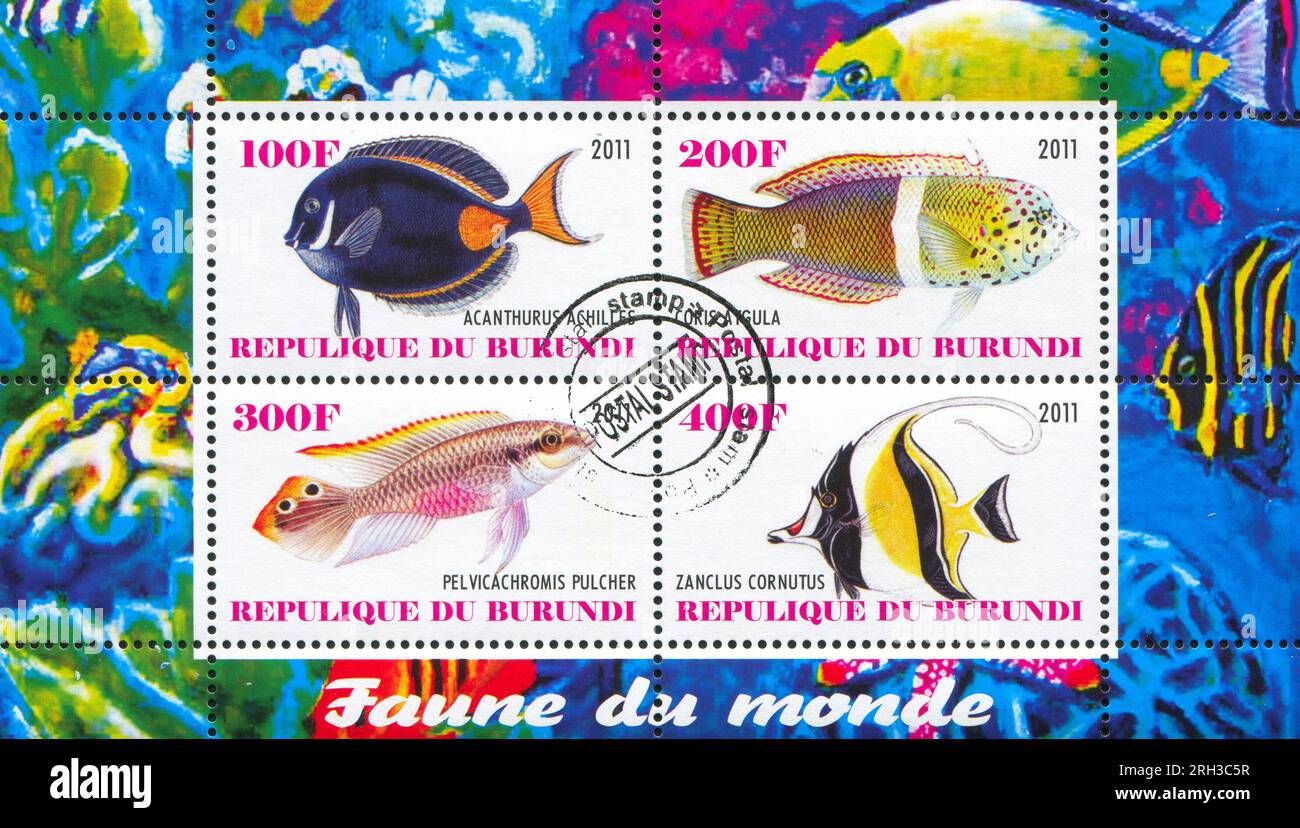 BURUNDI - CIRCA 2011: stamp printed by Burundi, shows sea fish, circa 2011 Stock Photo