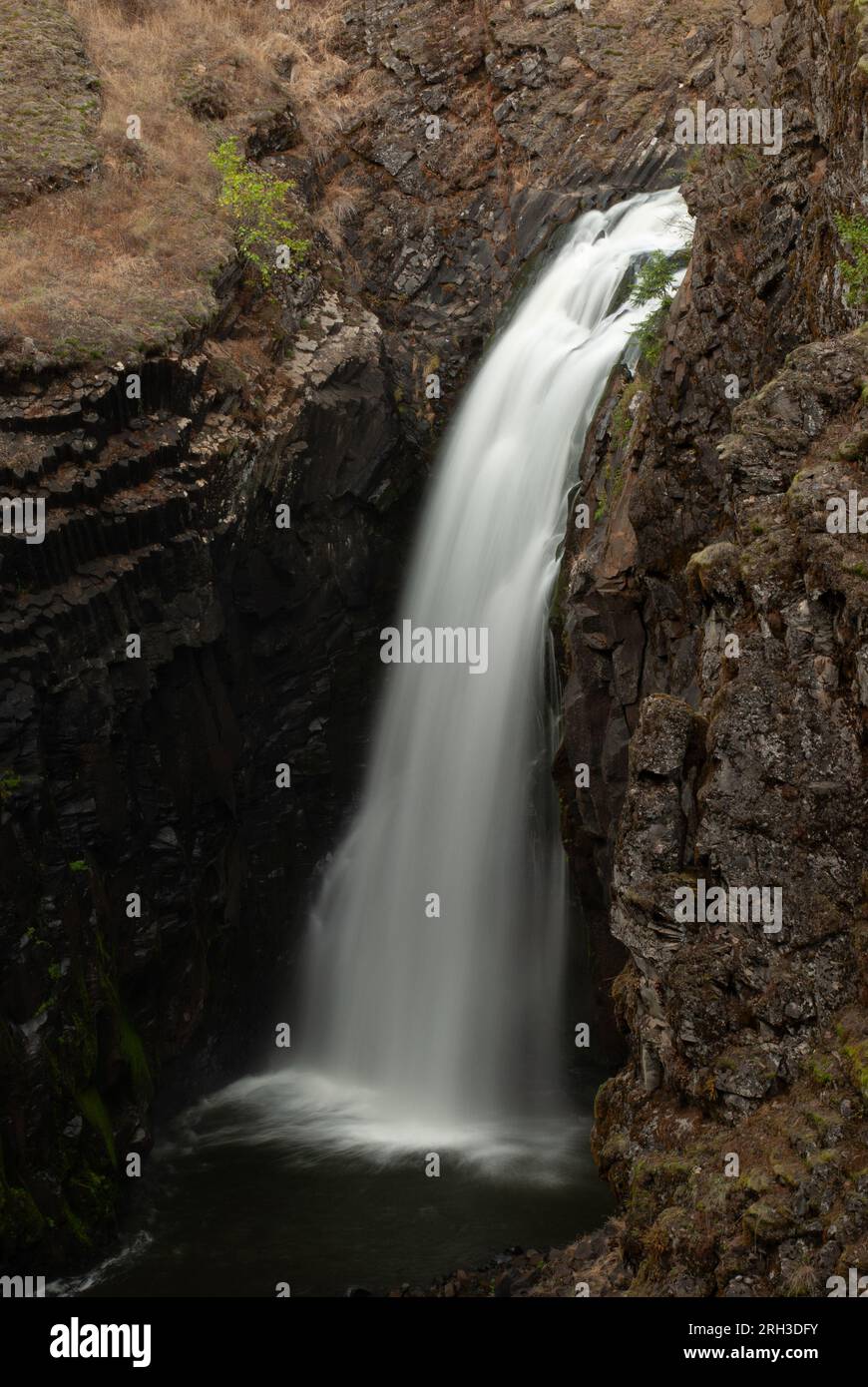 Lower Elk Creek Falls, and basalt cliffs. Clearwater National Forest, Idaho, USA. Stock Photo